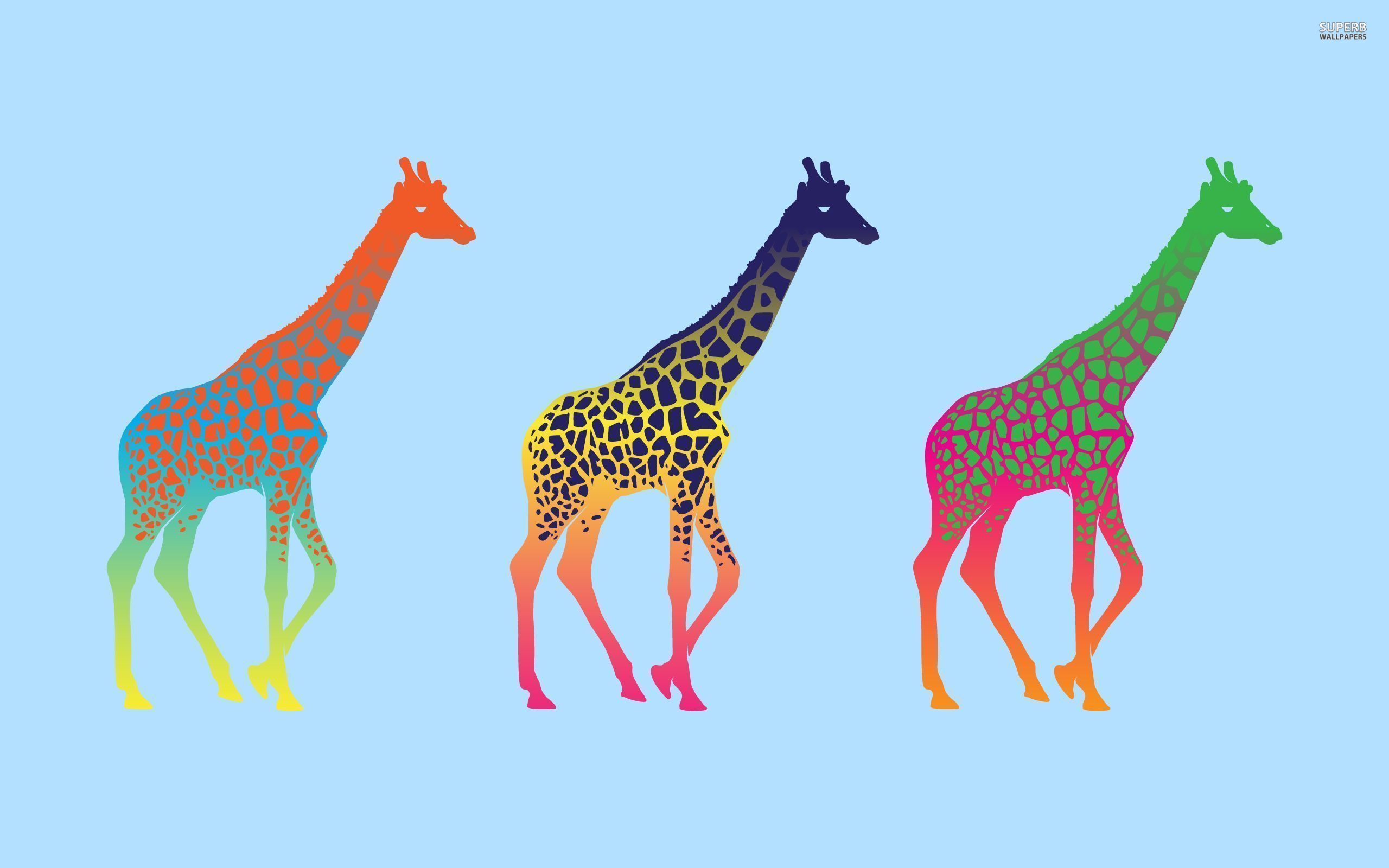Giraffe Wallpaper HD Amazing Wallpaperz