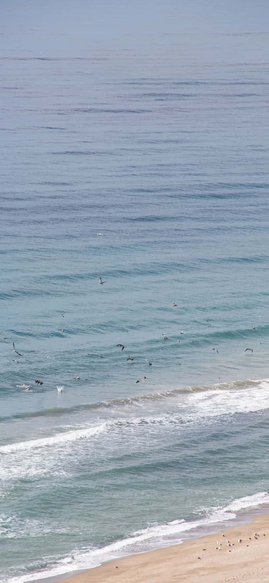 iPhone Xs Max Malibu Clean Small Waves Background Wallpaper