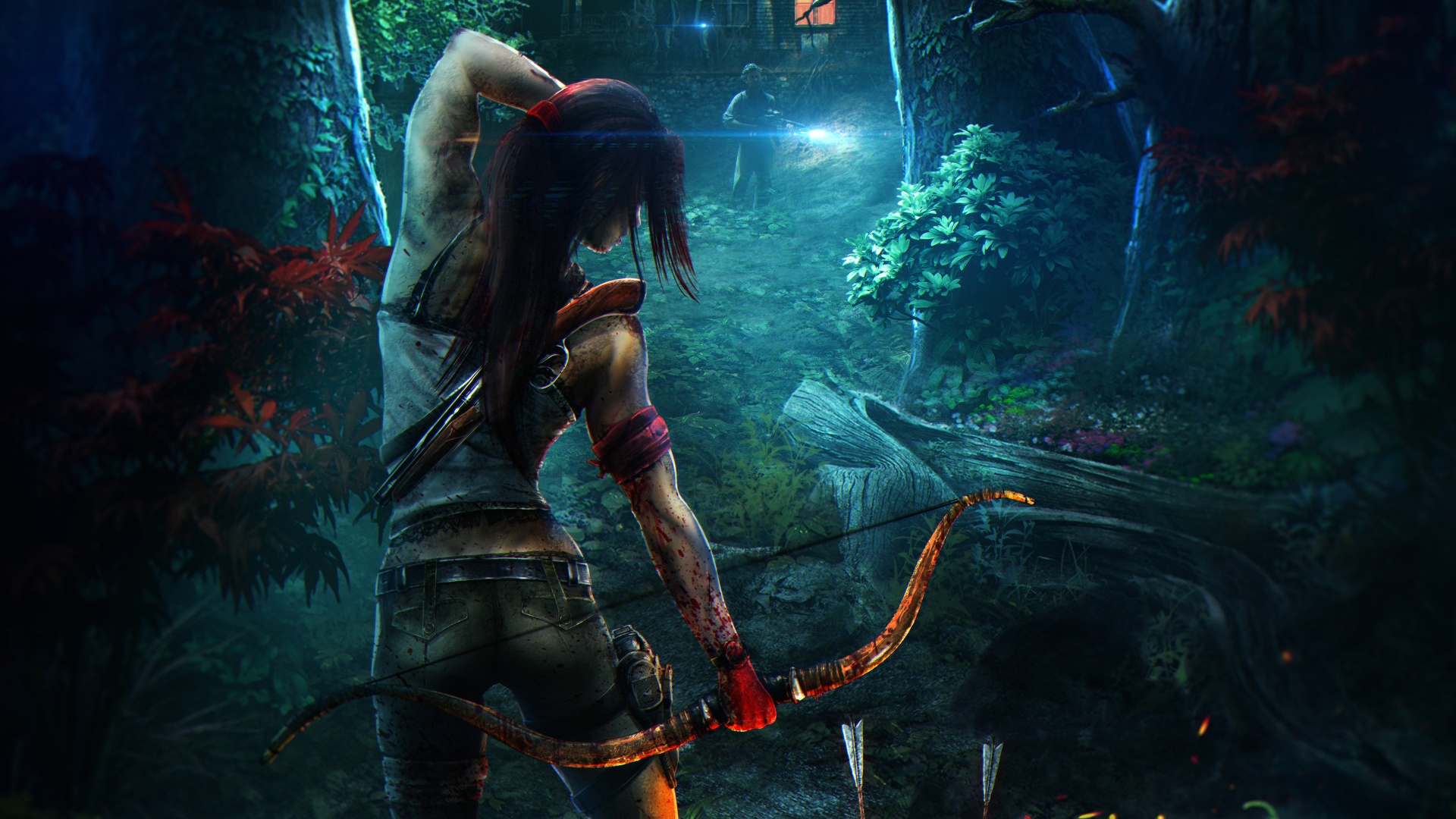 Tomb Raider Video Game Girl Quest HD Wallpaper