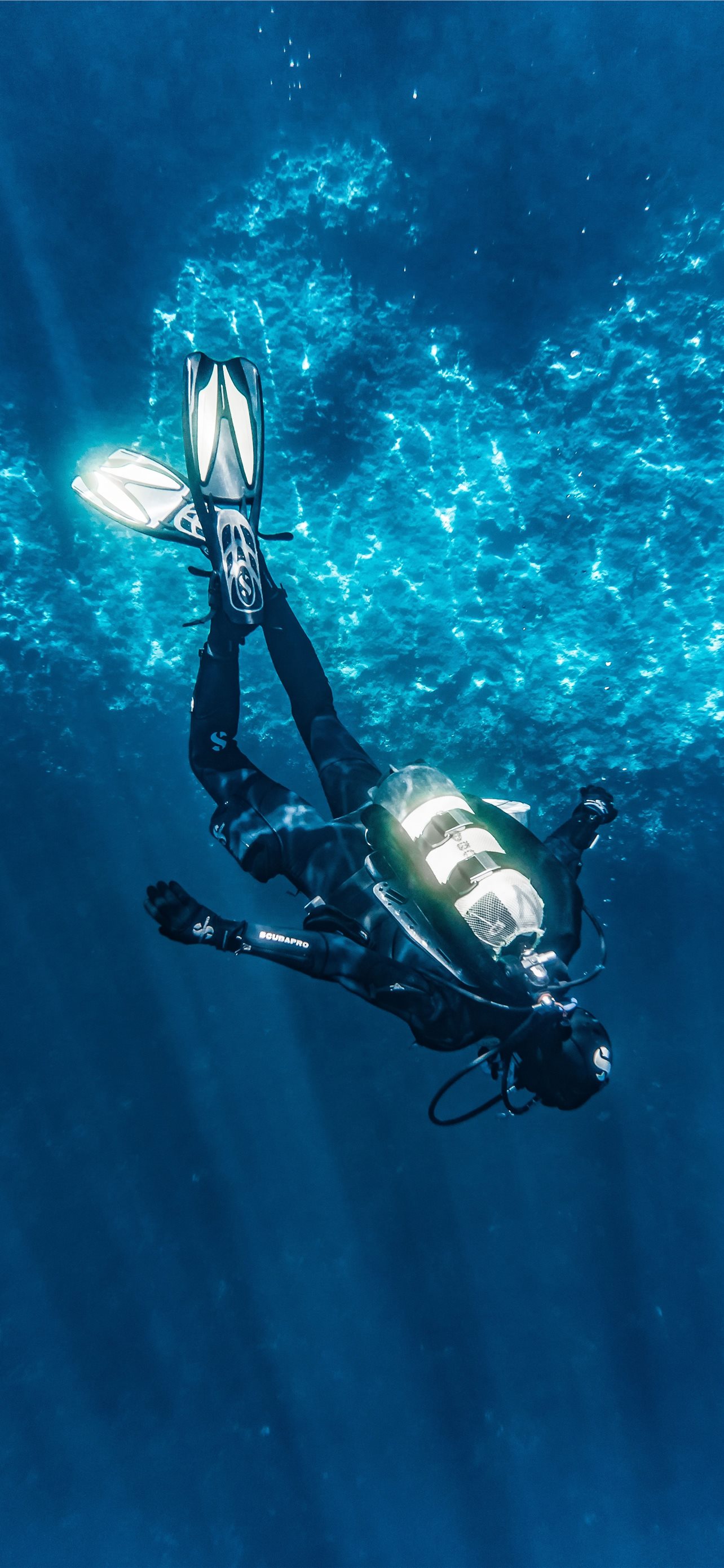 Diving iPhone Wallpaper