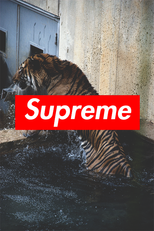 Supreme iPhone Wallpaper