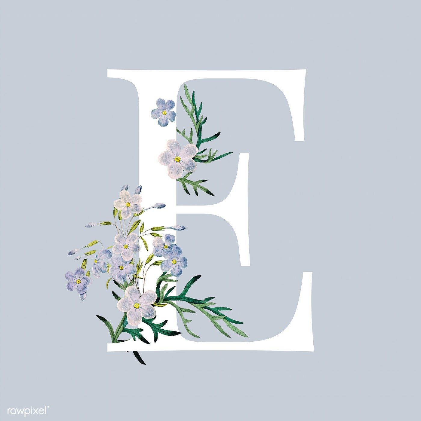 White Letter E Decorated With Hand Drawn Blue Phlox Vector
