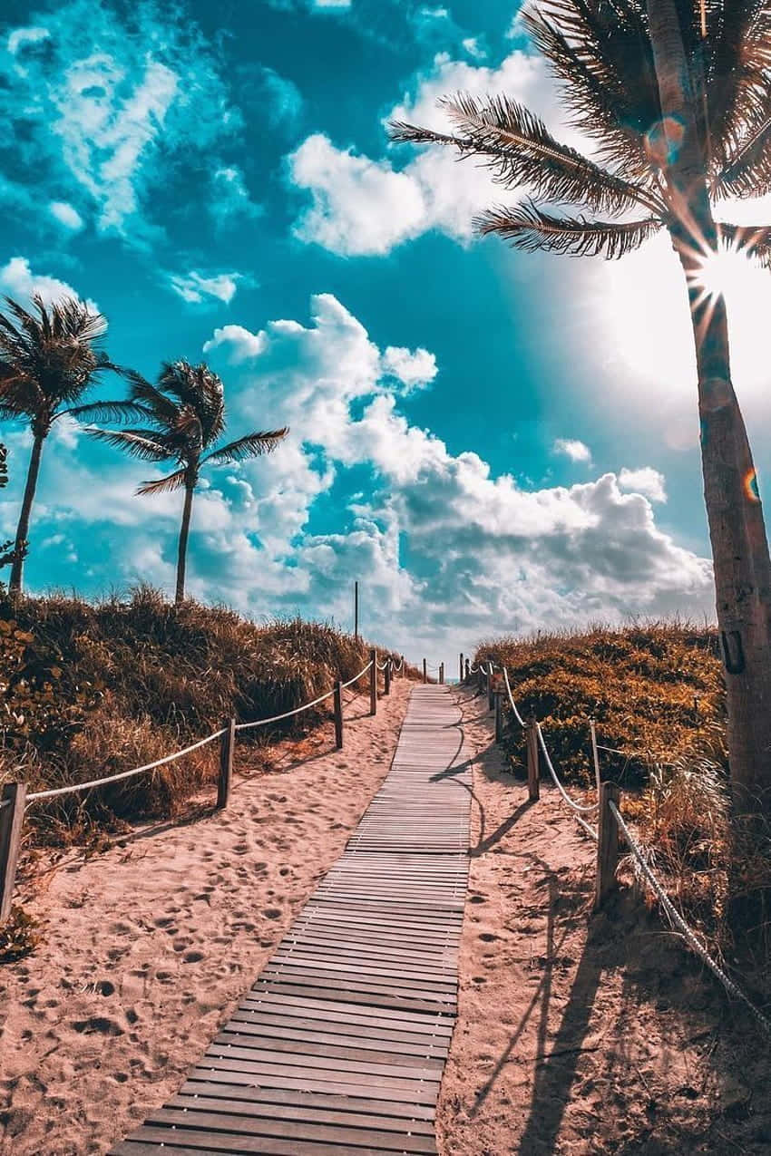 California Summer Wallpaper