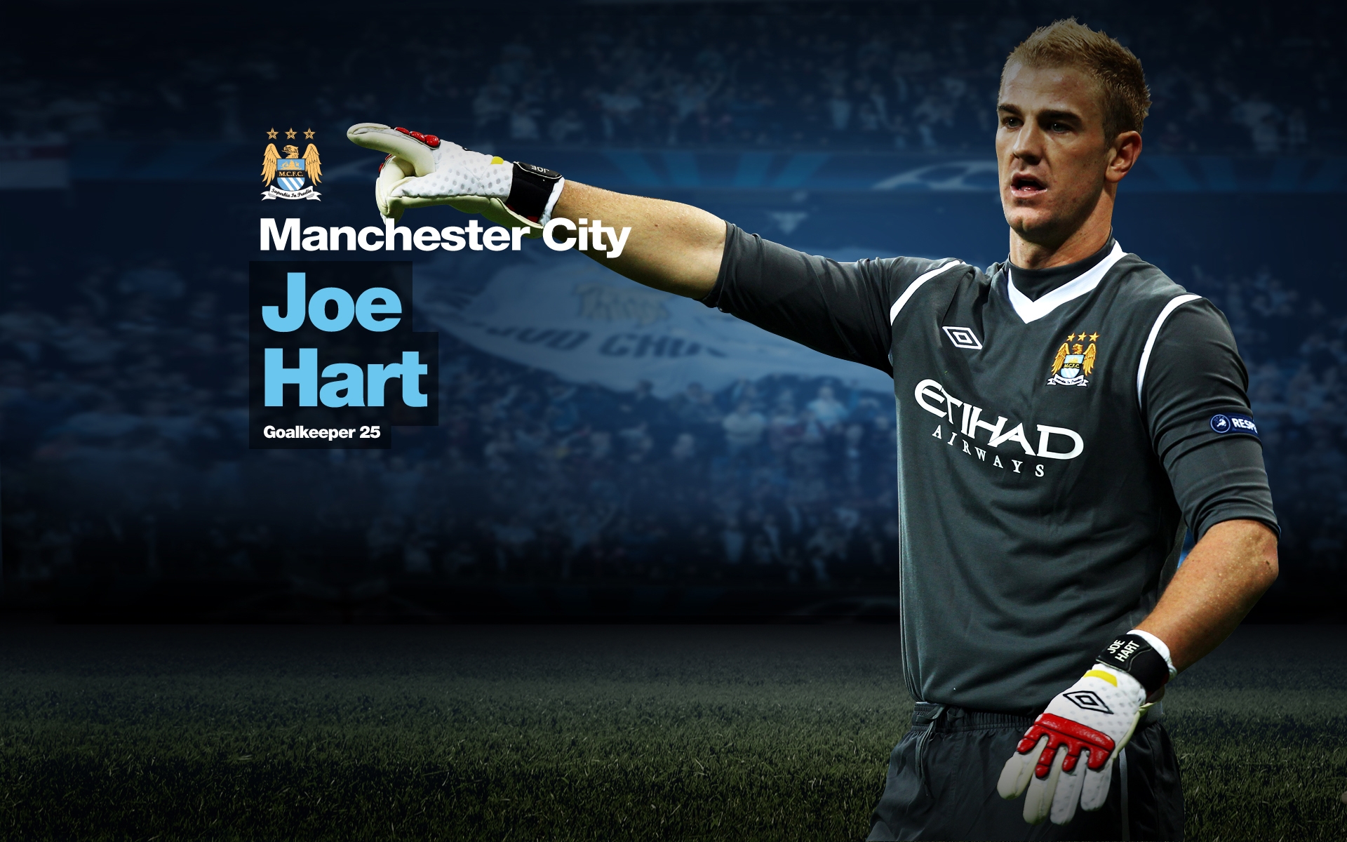 Joe Hart Manchester City Wallpaper Cool