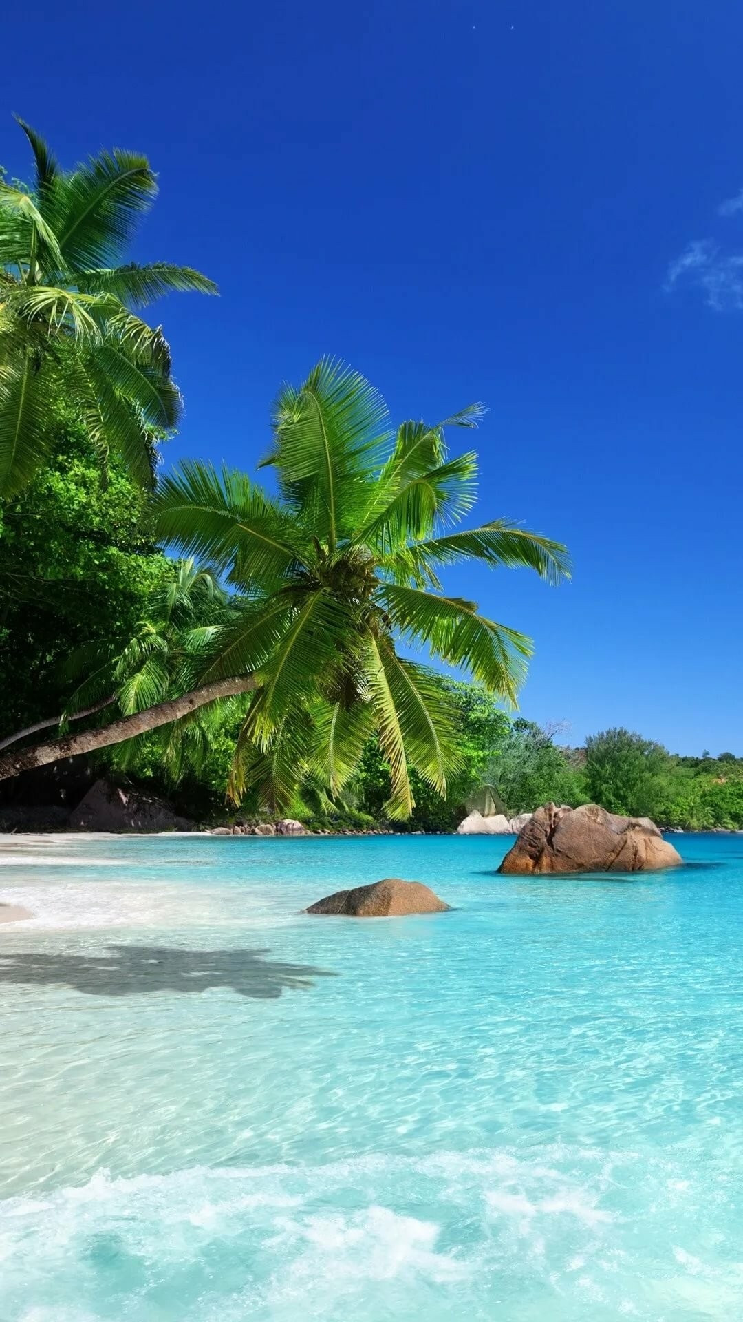 A pristine tropical beach with crystal-clear turquoise water, white sand, lush palm trees, and granite boulders under a vibrant blue sky