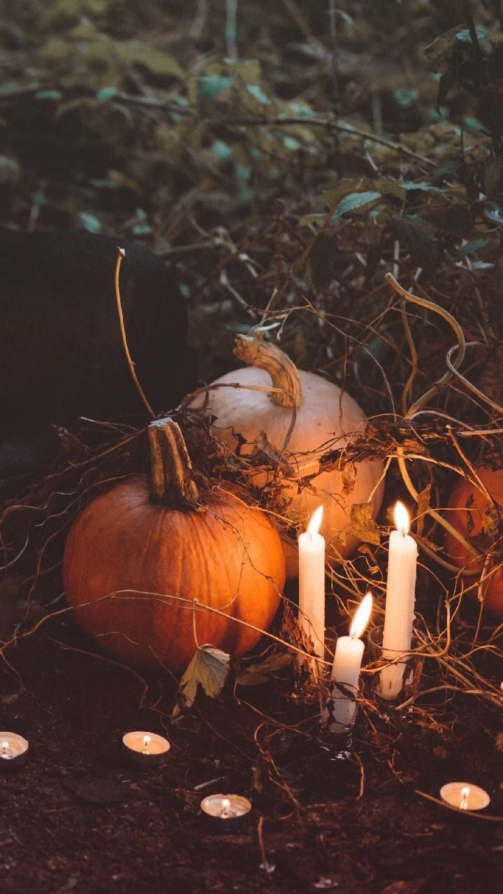 On Seasons Inspiration Wallpaper