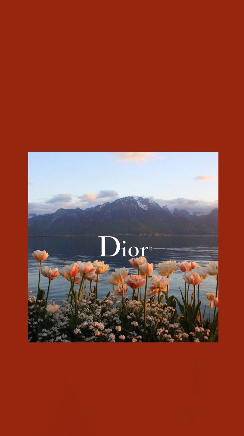 Dior iPhone Wallpapers on WallpaperDog
