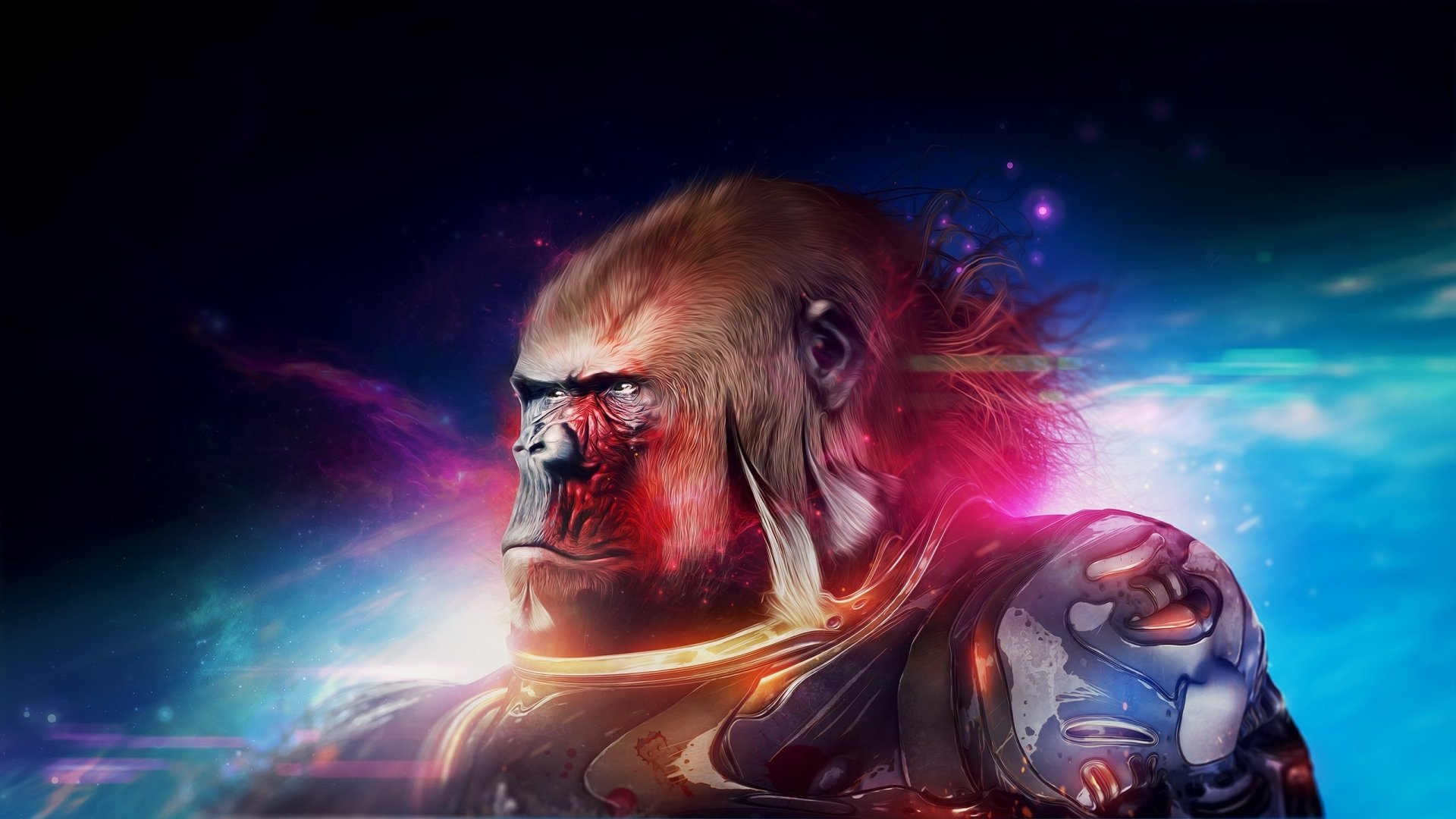 Animal Gorilla HD Wallpaper