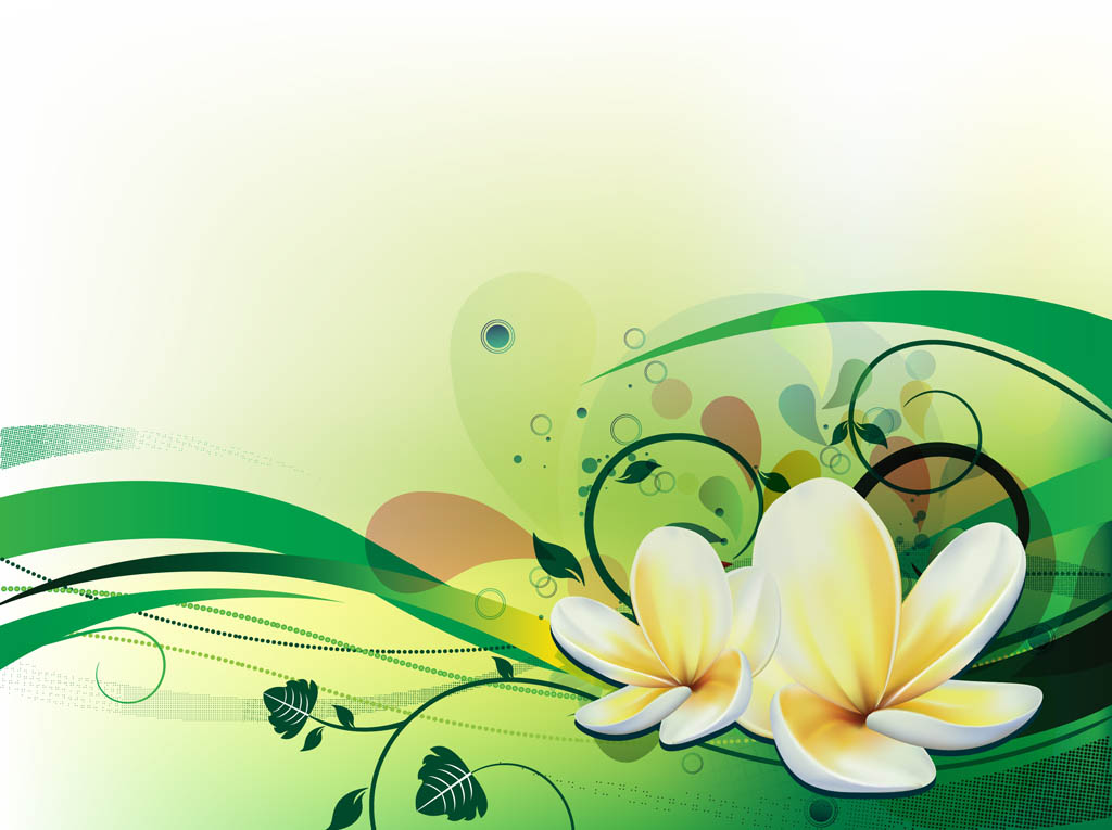 Free download Plumeria Background Vector Art Graphics freevectorcom