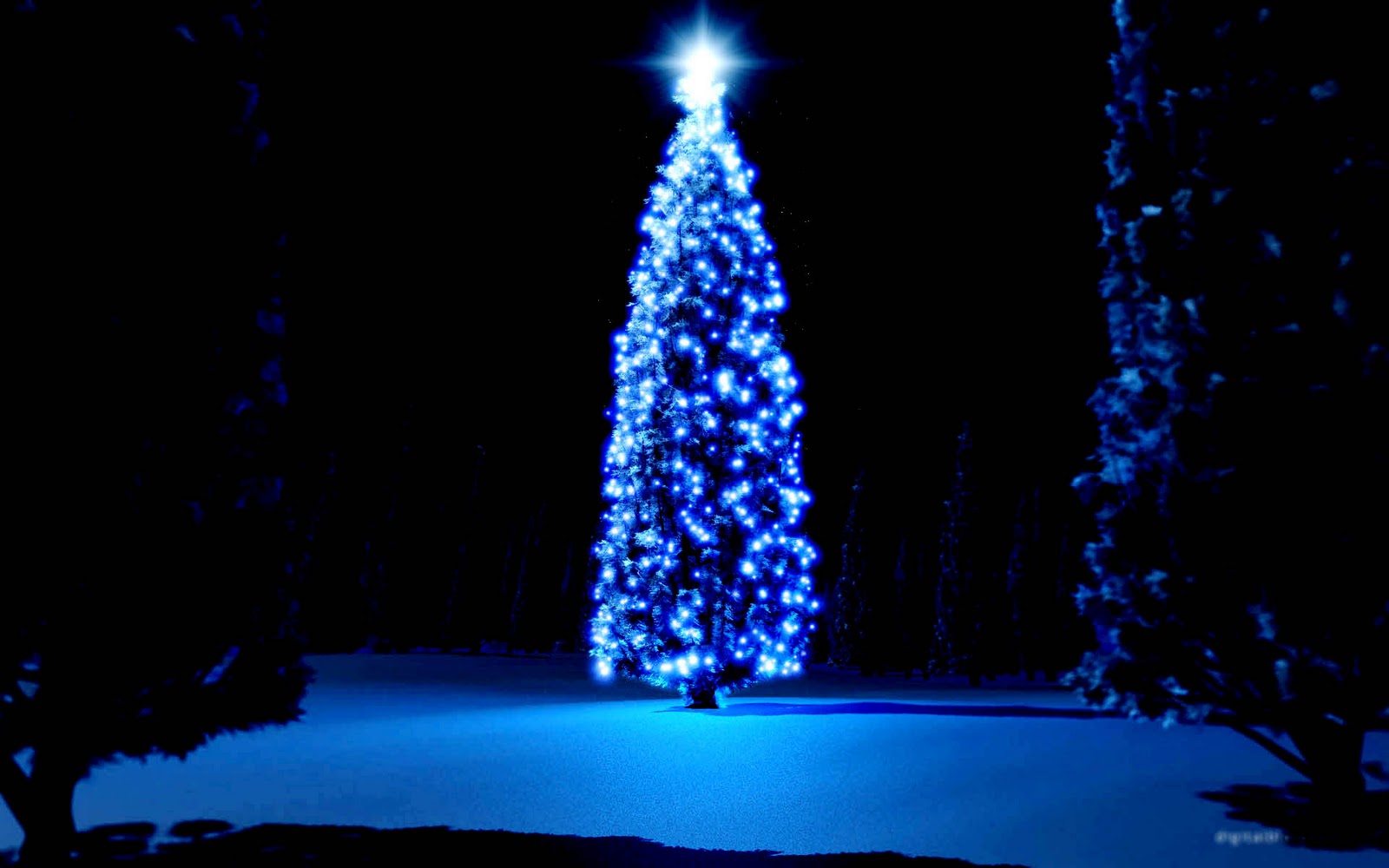Christmas Tree HD Wallpaper Background Photos