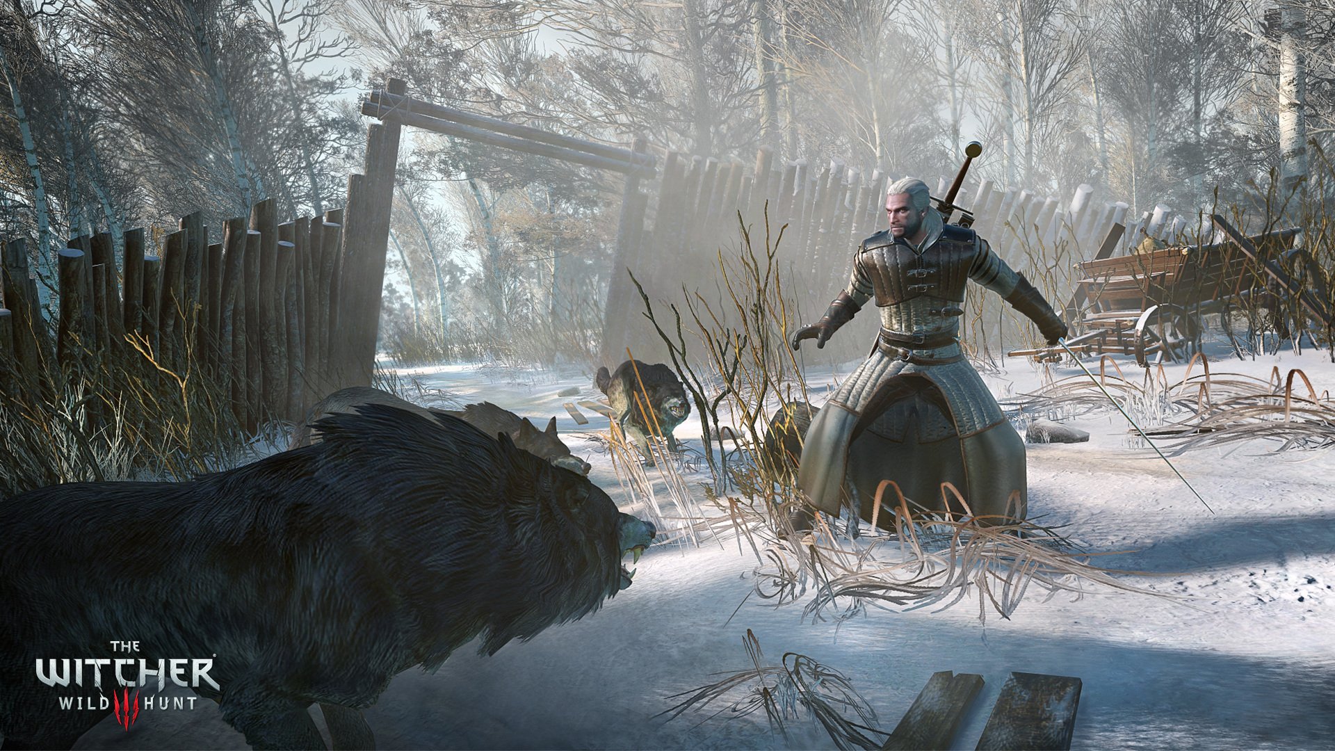 Video Game The Witcher Wild Hunt Wallpaper