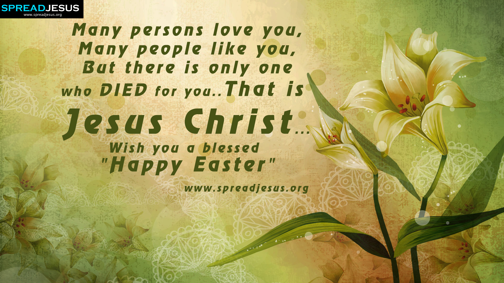 Wish You A Blessed Happy Easter Greetings HD Wallpaper Many
