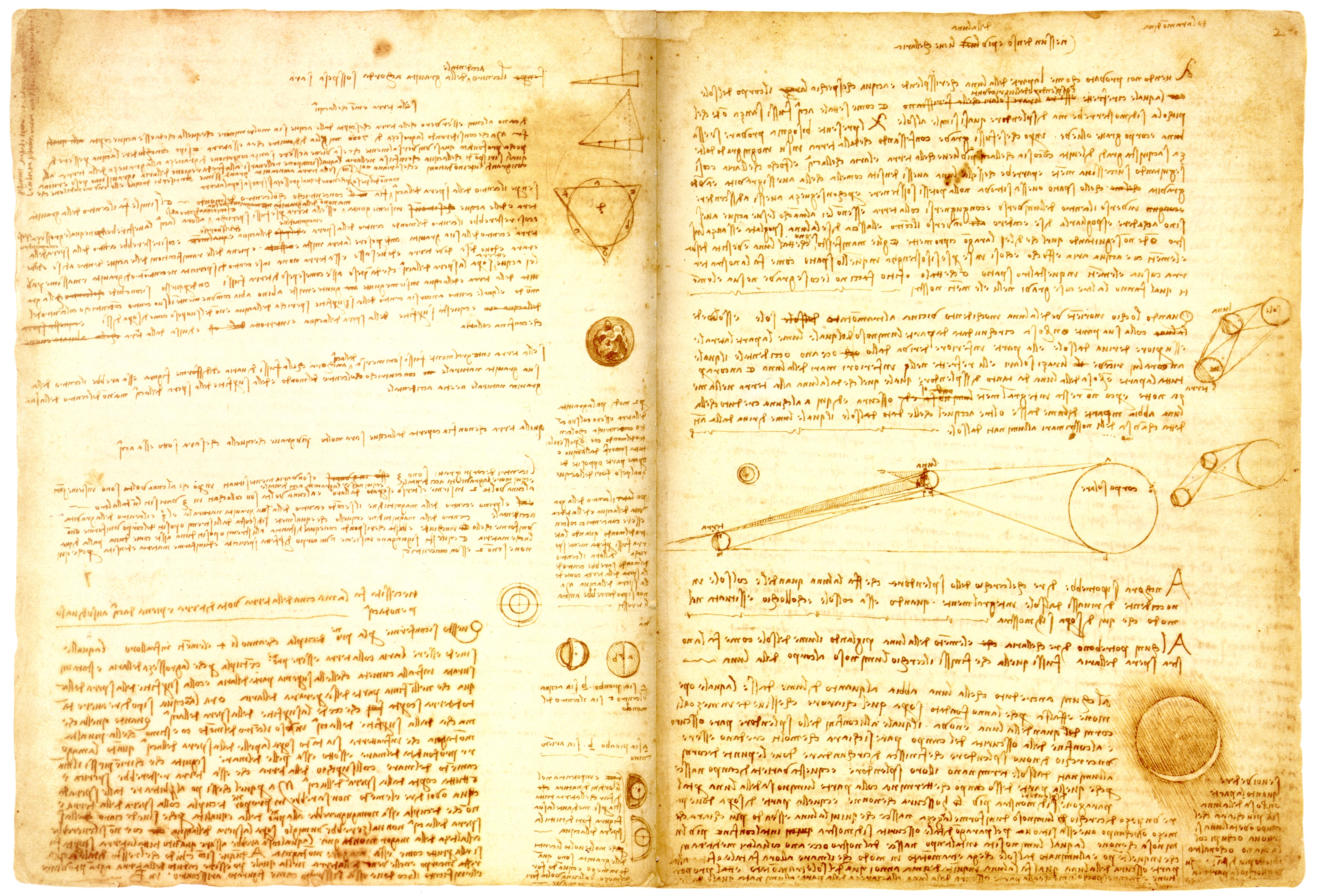 Codex Leicester Wikipedia