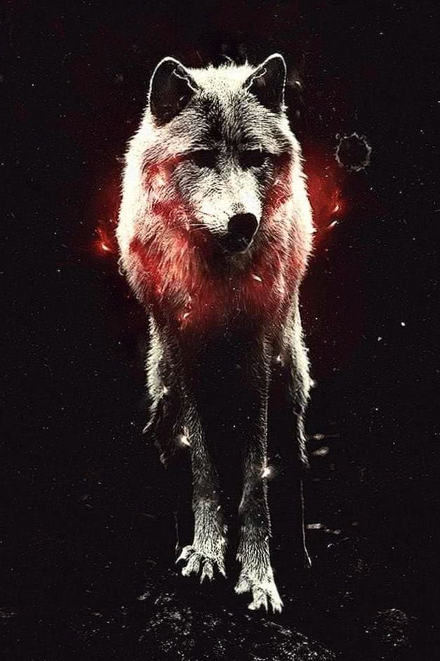 Cool Wolf iPhone Wallpaper Pro