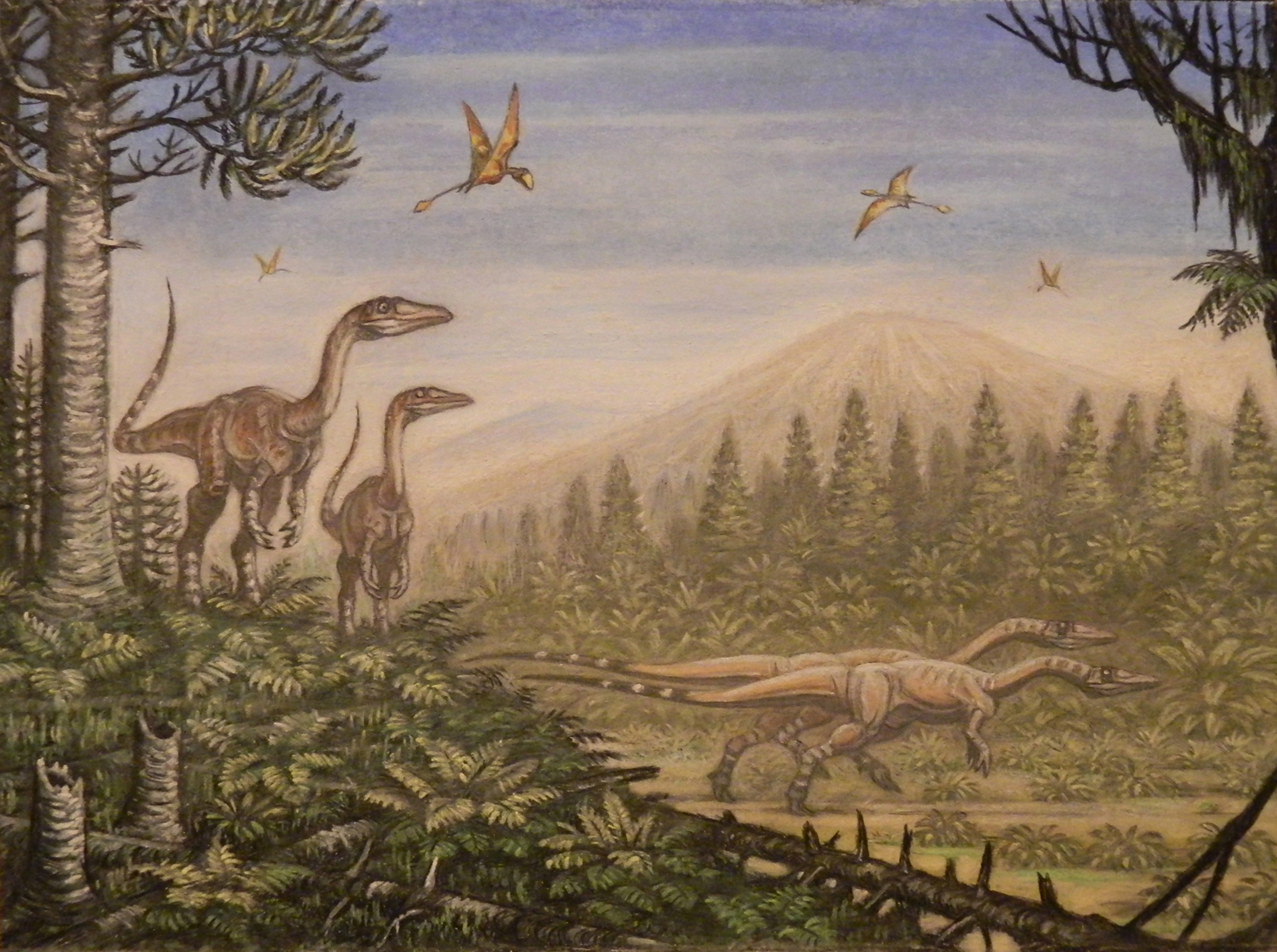Photo Dinosaurs Coelophysis Peteinosaurus Animals