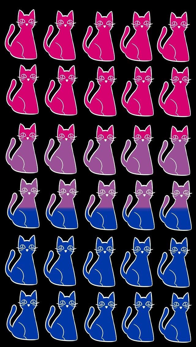 Eli I M Making Cat iPhone Wallpaper There S More