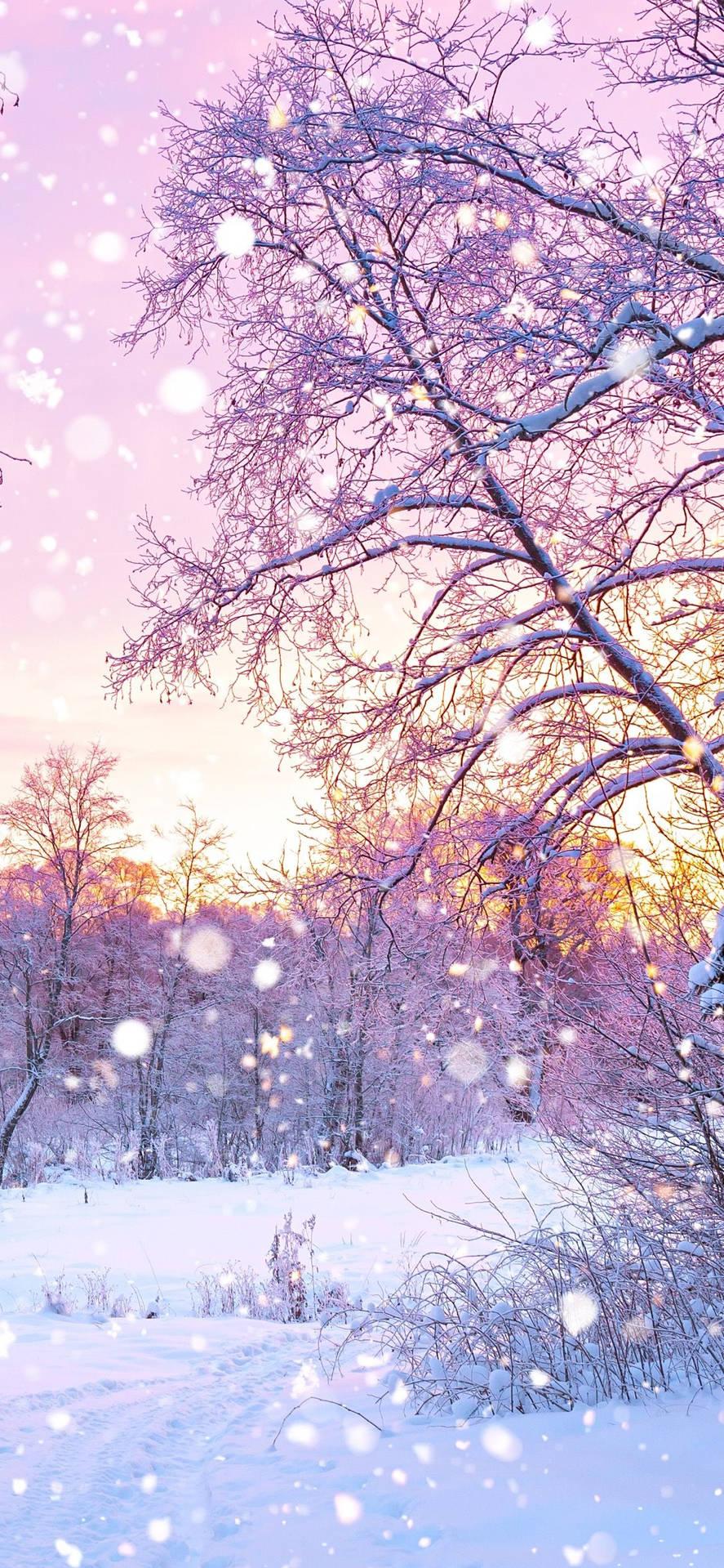  Cute Winter Iphone Wallpapers