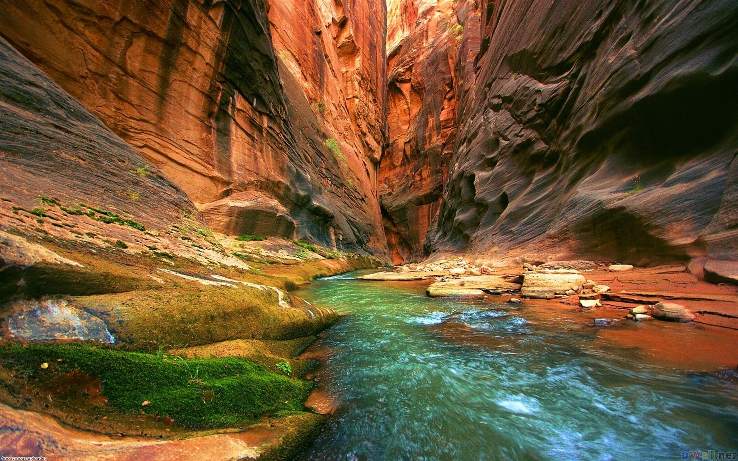 Colorado River Grand Canyon National Park Wallpaper HD