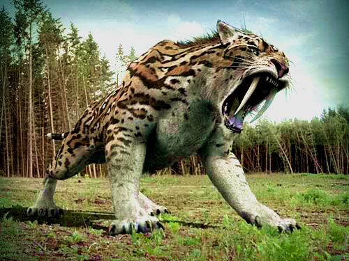 Back Gallery For Saber Tooth Tiger Wallpaper