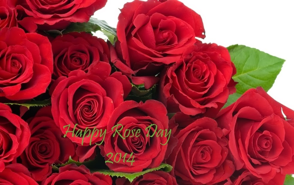 Happy Rose Day Image Wallpaper Wishes