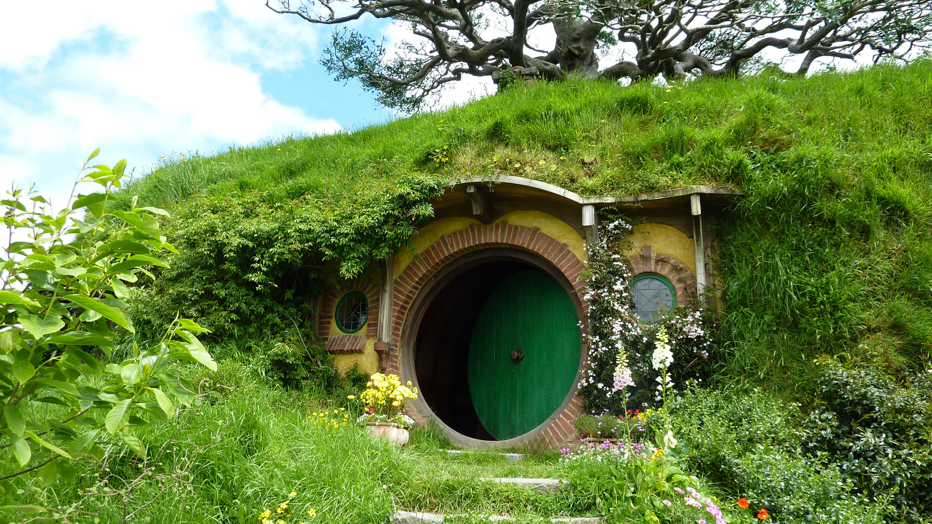 An Unexpected Journey To The Hobbiton Set In New Zealand Attention