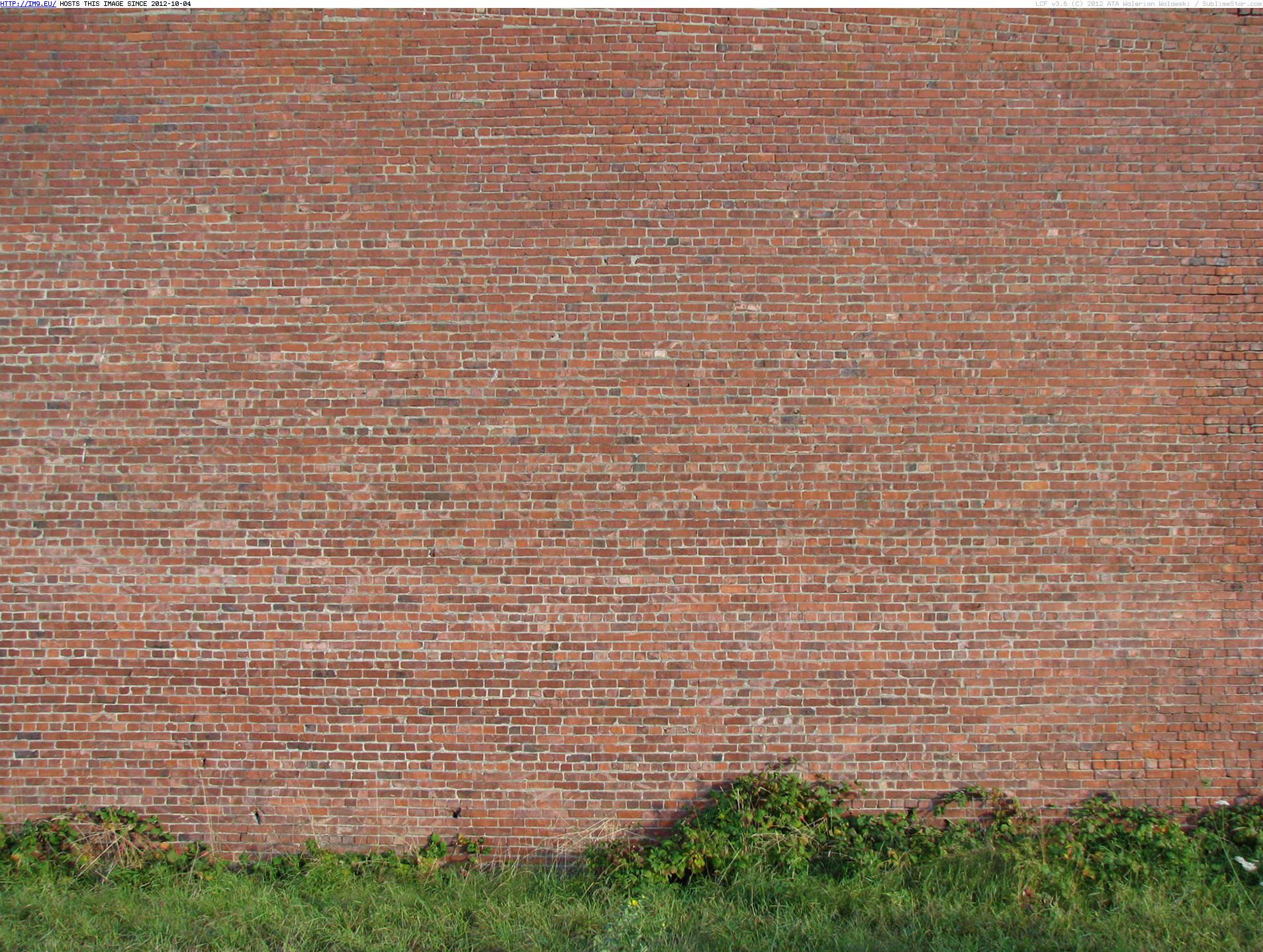 Brick Small Brown Wallpaper