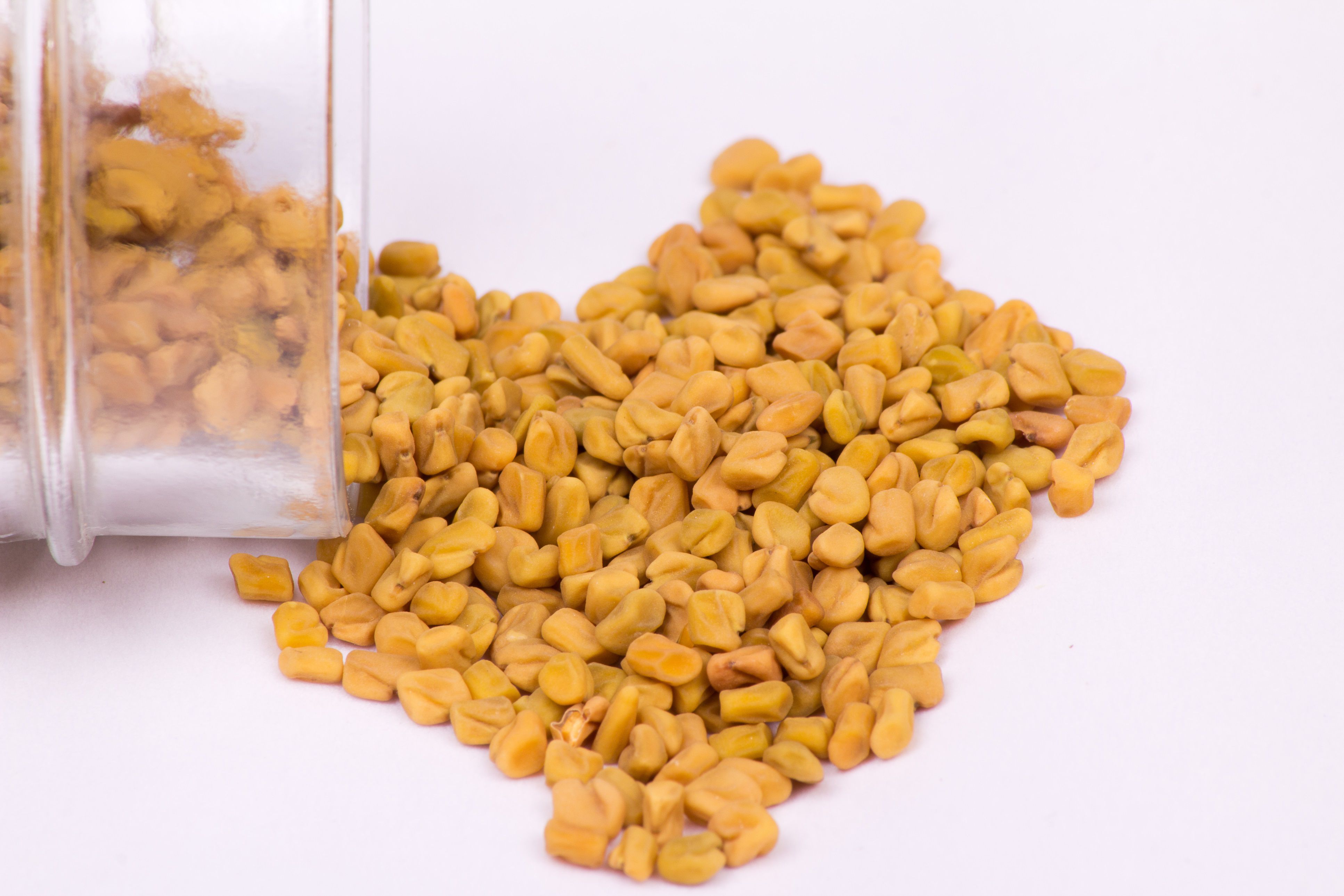 Fenugreek Wallpaper