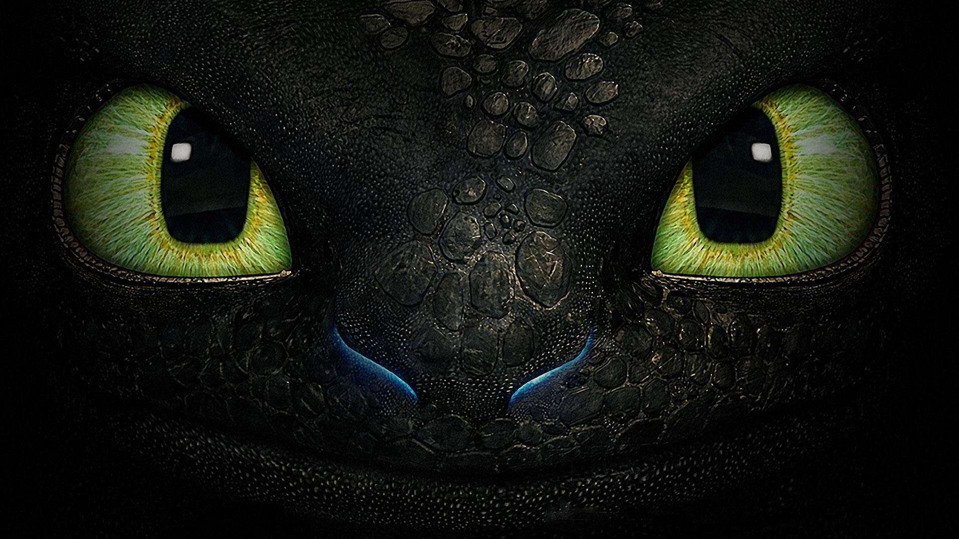 Toothless HD Wallpaper Train Your Dragon Movie Magic