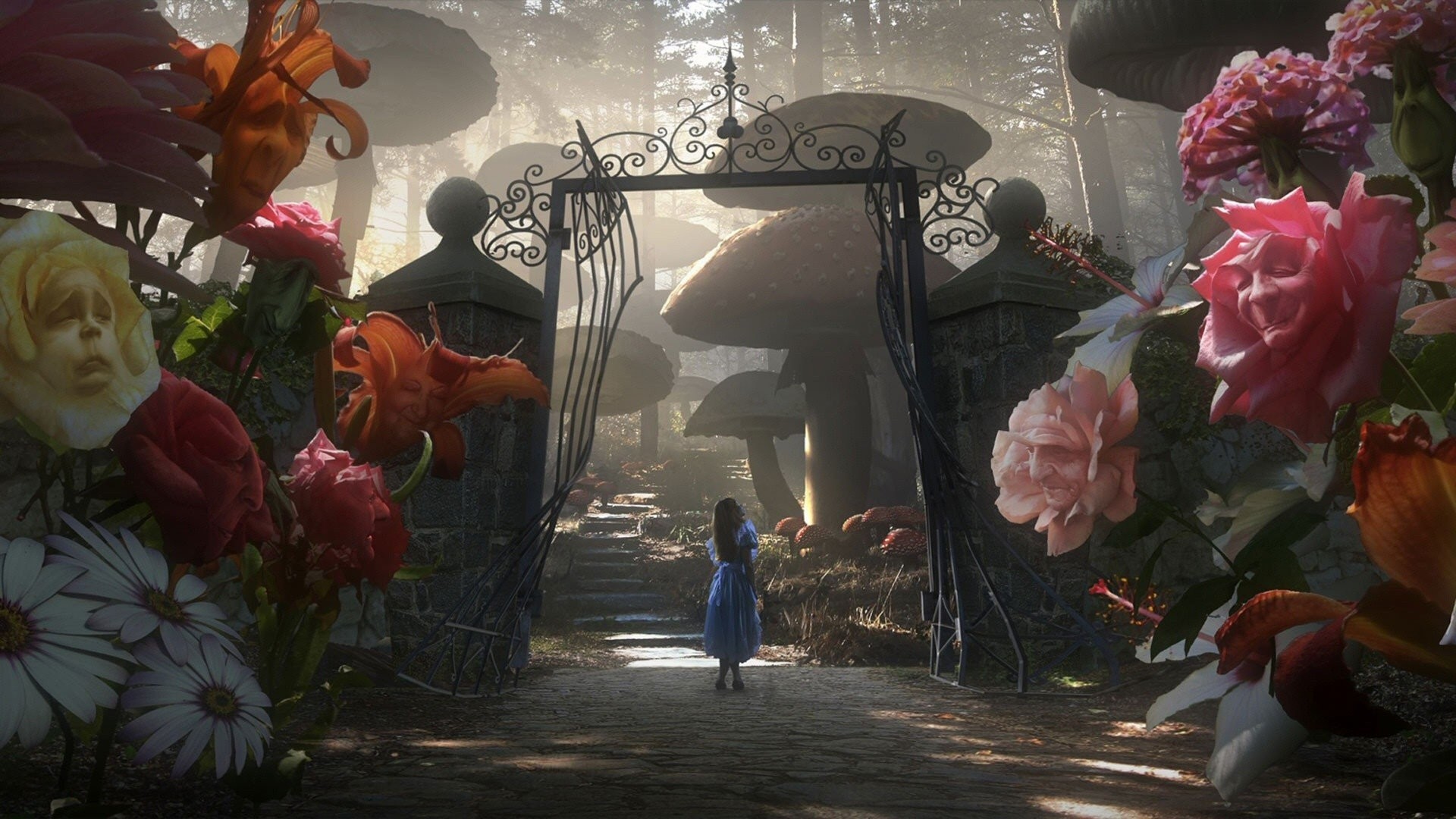 Alice In Wonderland Image HD Wallpaper Background