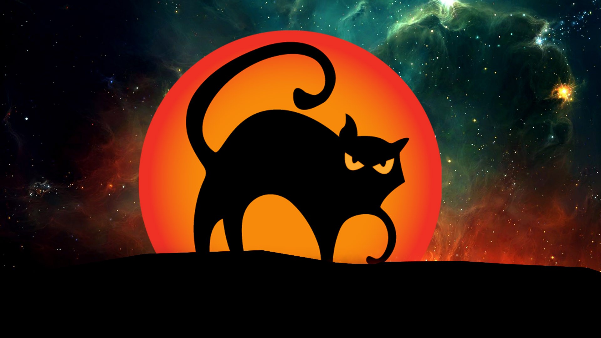 Halloween Black Cat Desktop HD Wallpaper