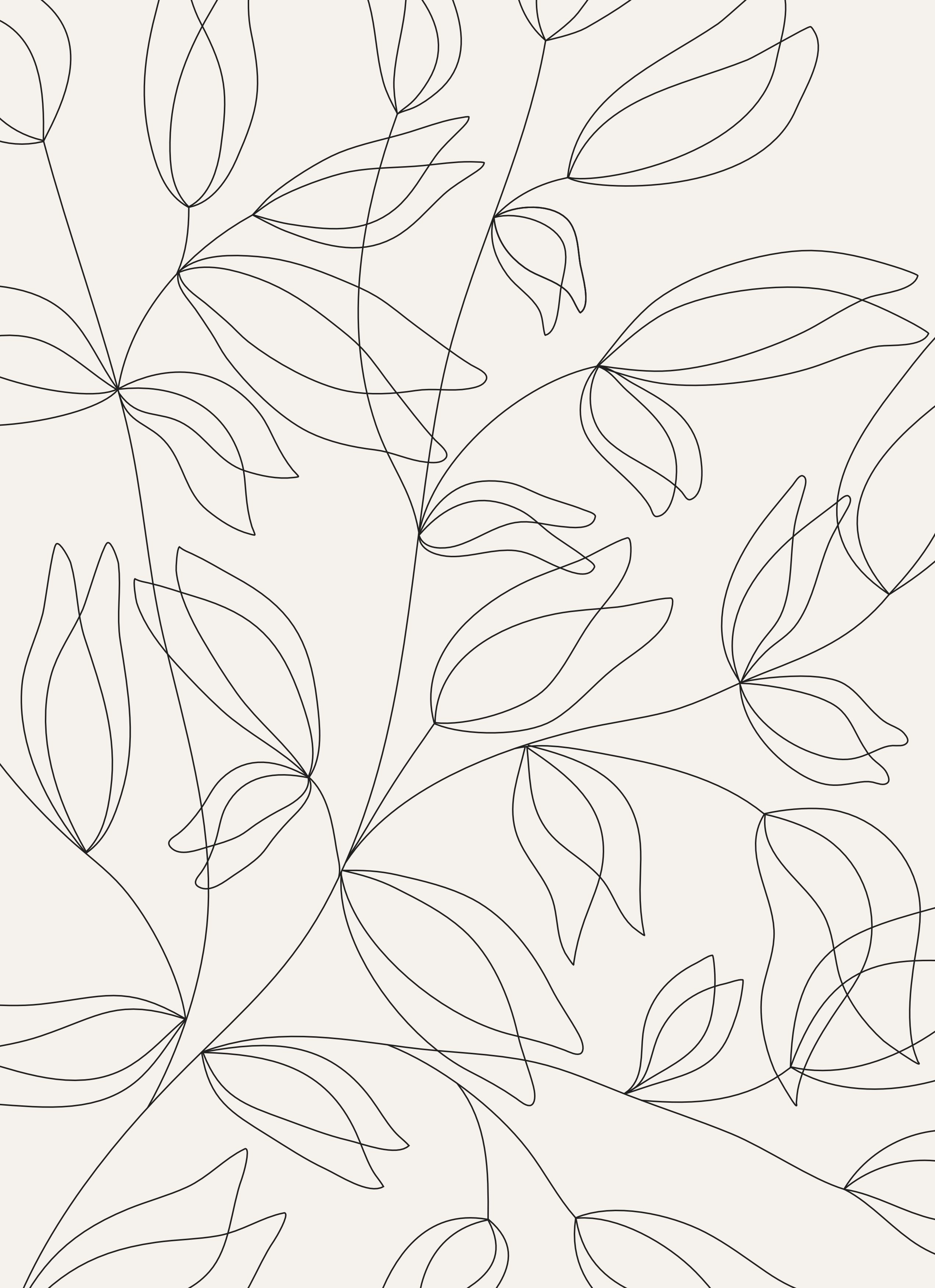 Tracz On Catalog Wallpaper