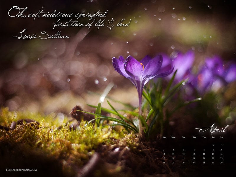 April Showers Desktop Wallpaper April showers calendar by sorrelstang 800x600