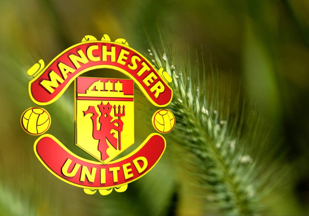 Wallpaper Of Manchester United Football Club Fanzone S 3d
