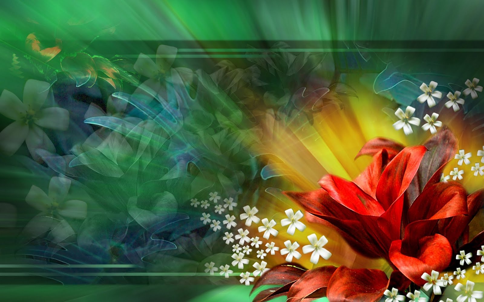 Beautiful Flowers Wallpaper X HD Desktop