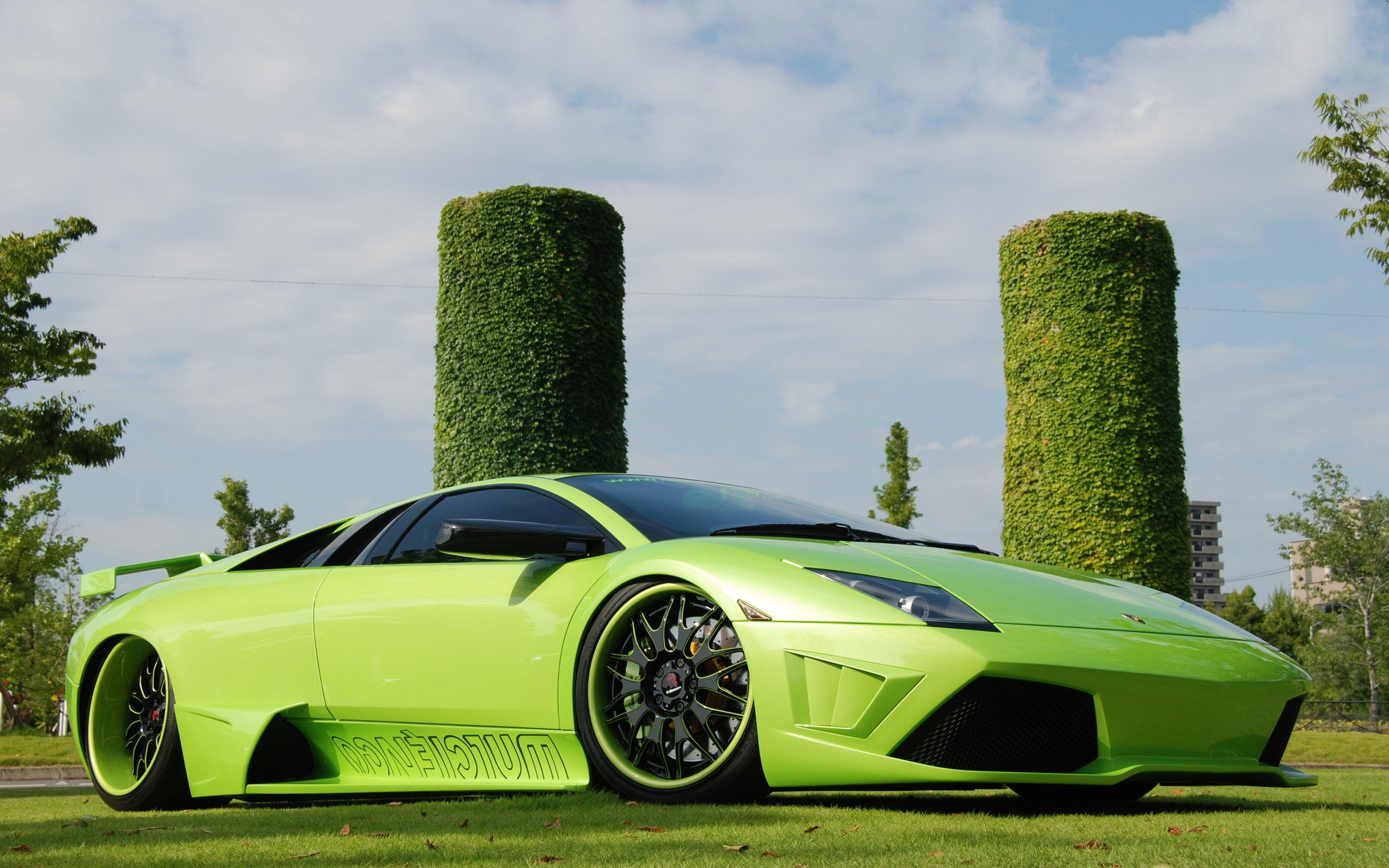 Green Cars Grass Lamborghini Wallpaper