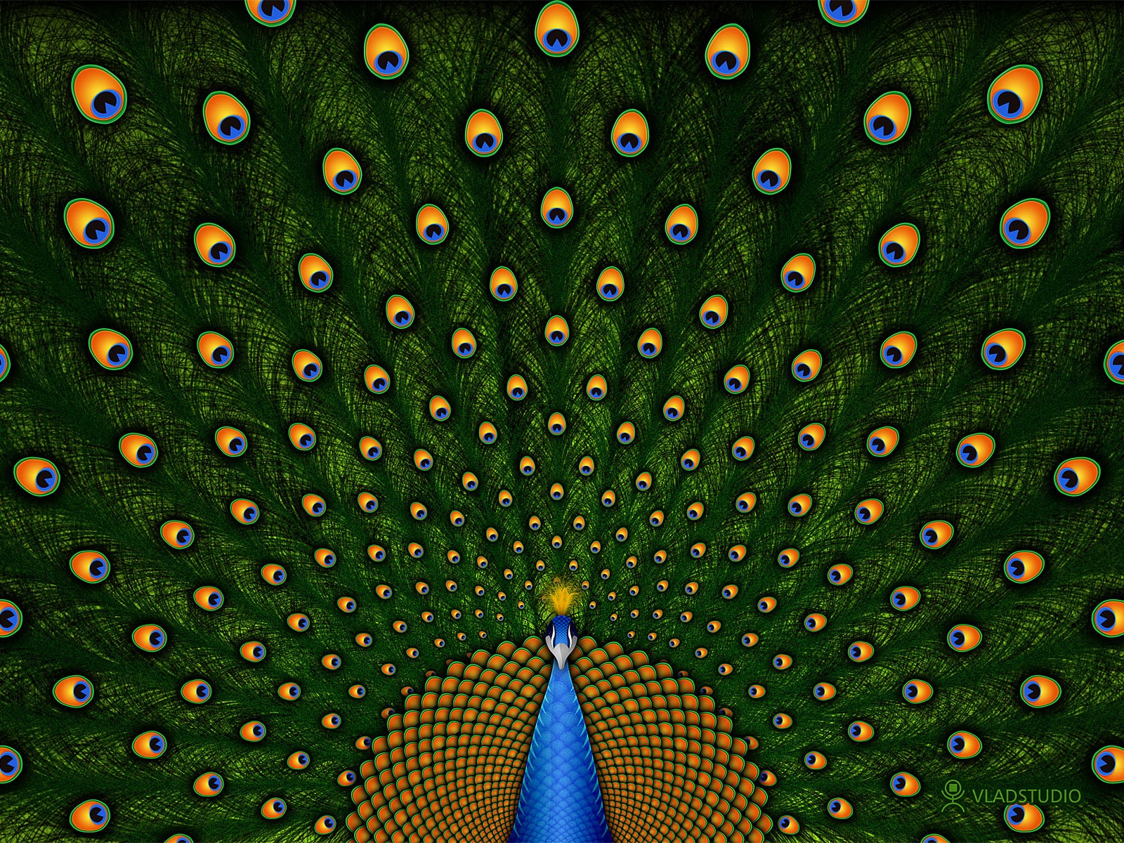 Room Vladstudio Wallpaper Peacocks