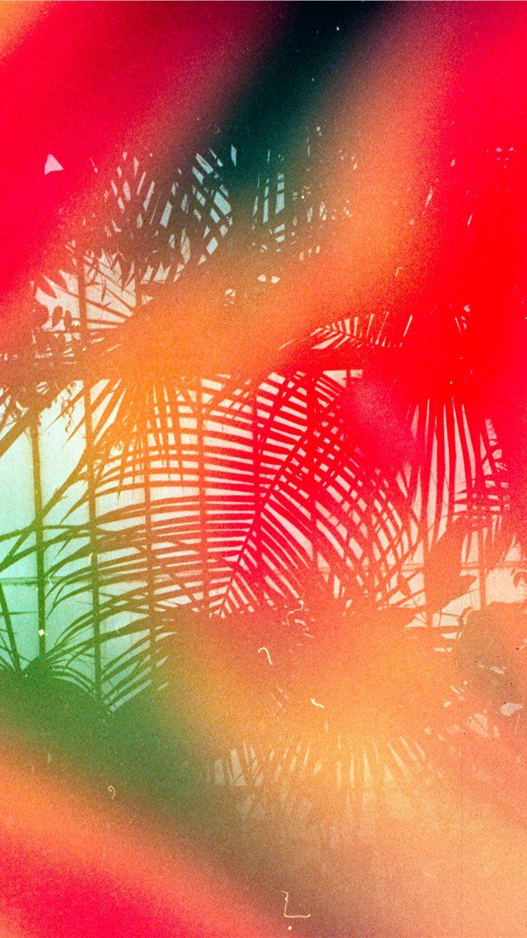 Tropical Leaves Shot On 35mm Leica Mda With Dub iPhone