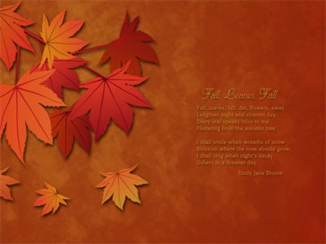 Fall Wallpaper Background On Autumn