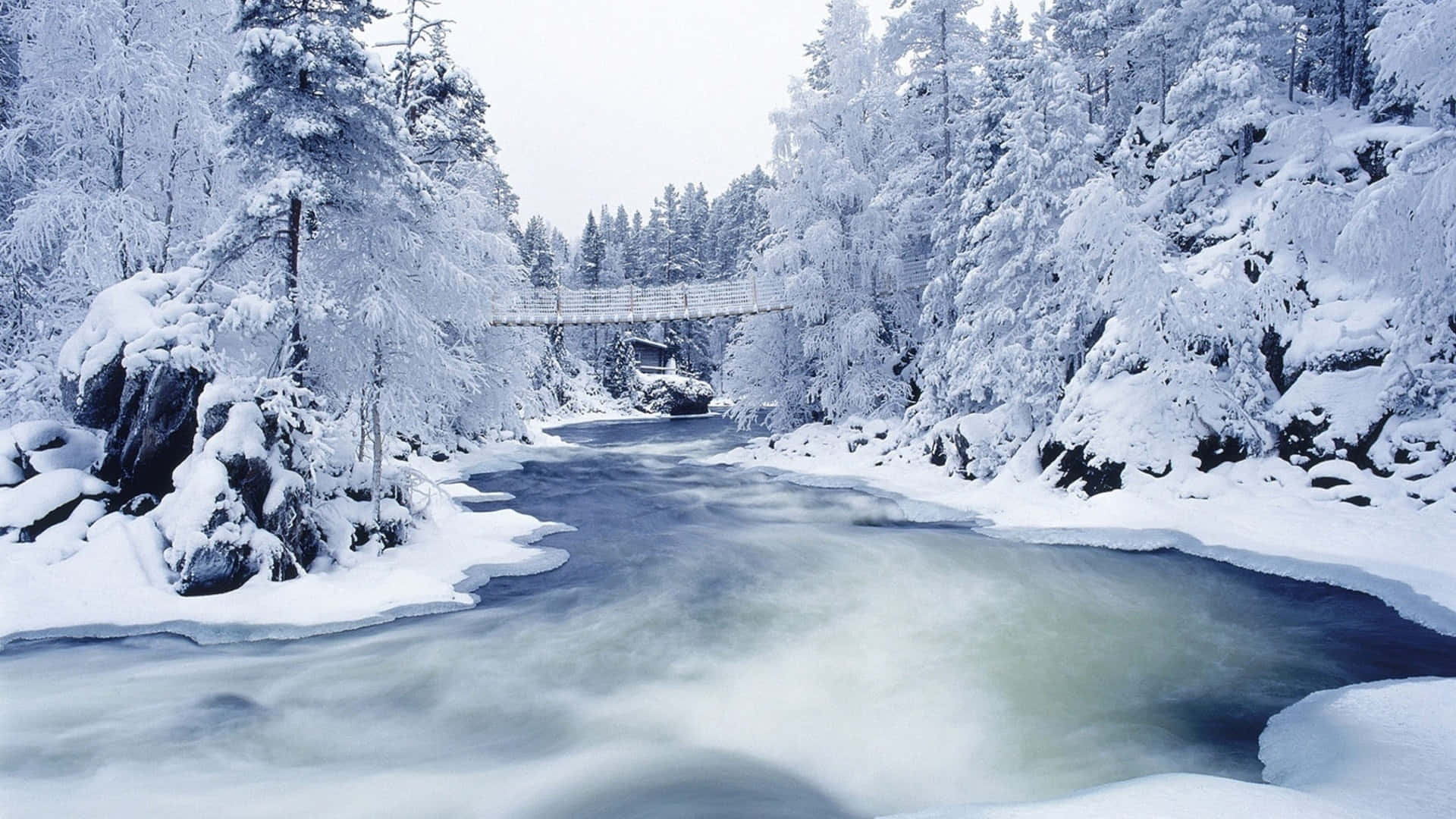 Winter Snow Desktop Wallpaper