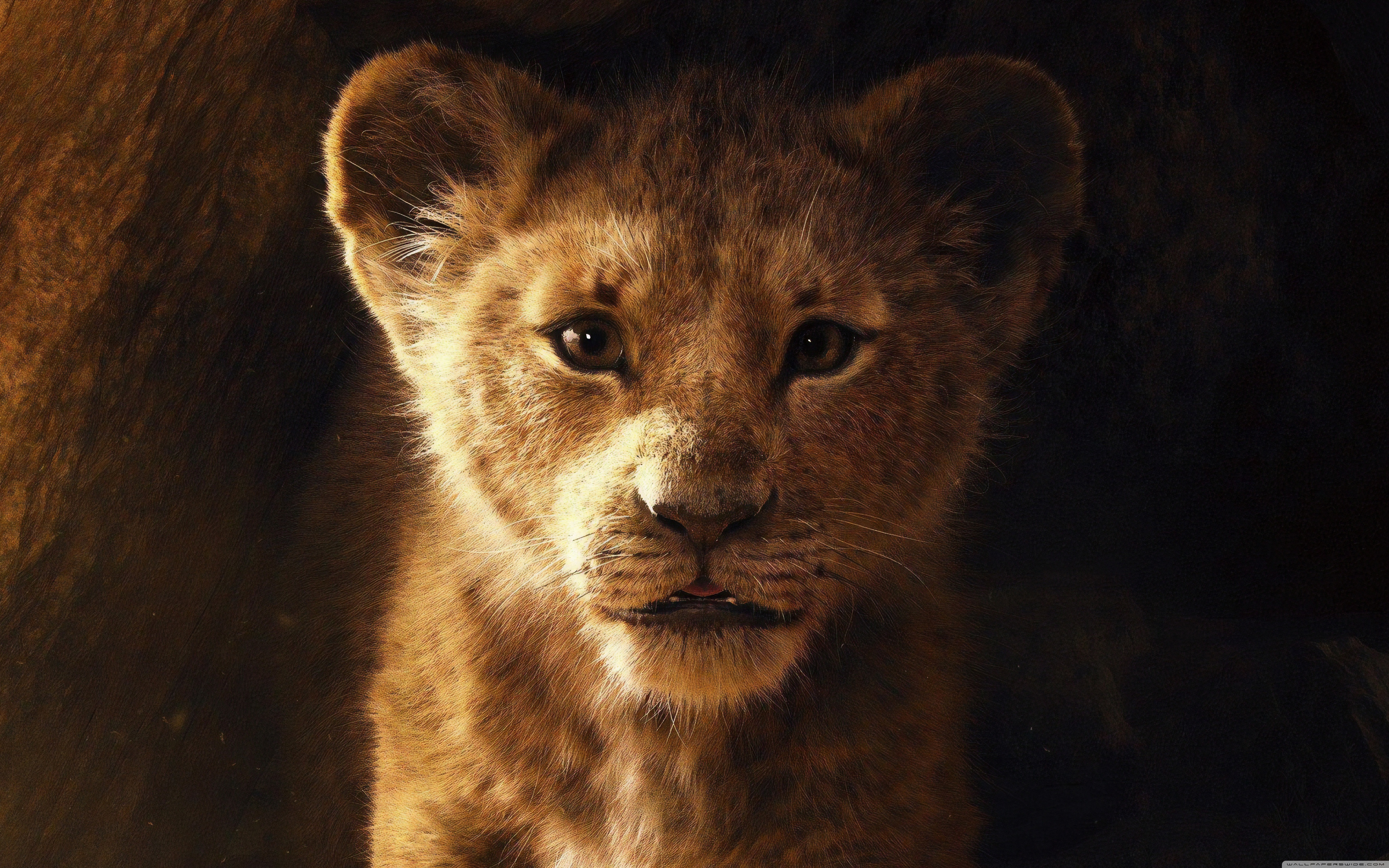 The Lion King 5k 4k HD Desktop Wallpaper For Ultra
