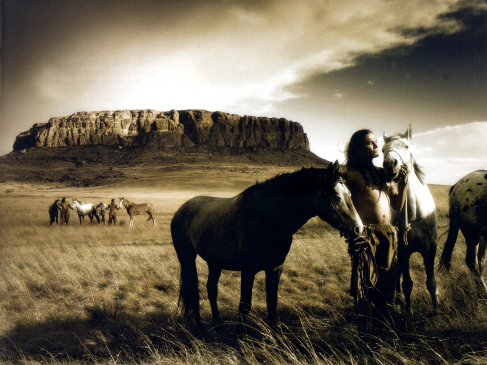 So Get Wild Horses Wallpaper And Make Your Desktop Cool