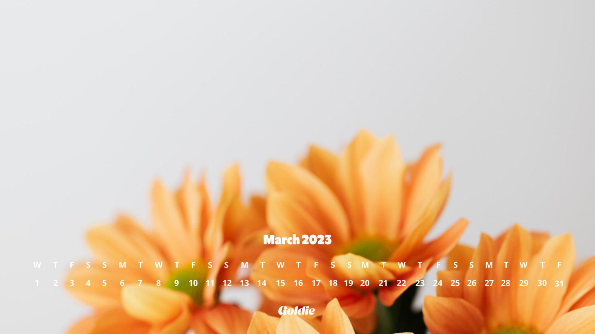 Free March 2023 Calendar Wallpapers Desktop Mobile
