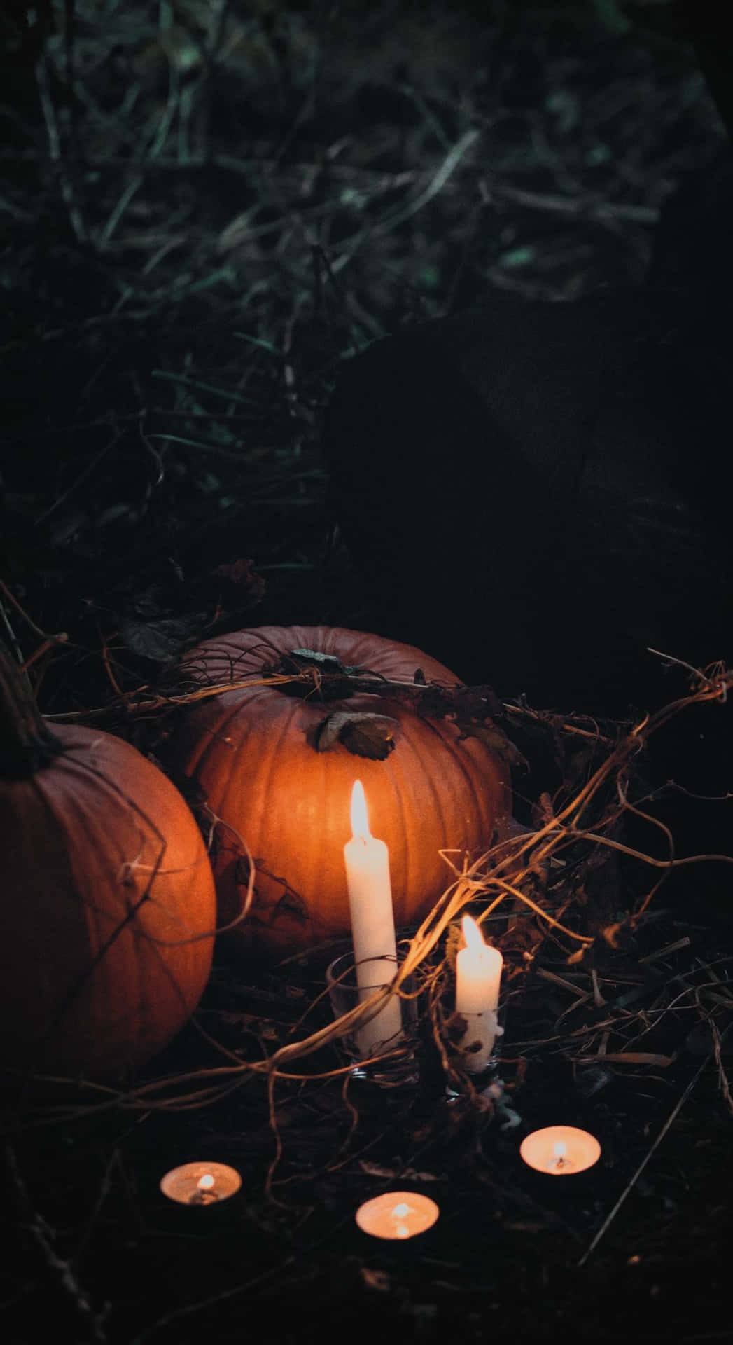 Halloween iPhone Wallpaper