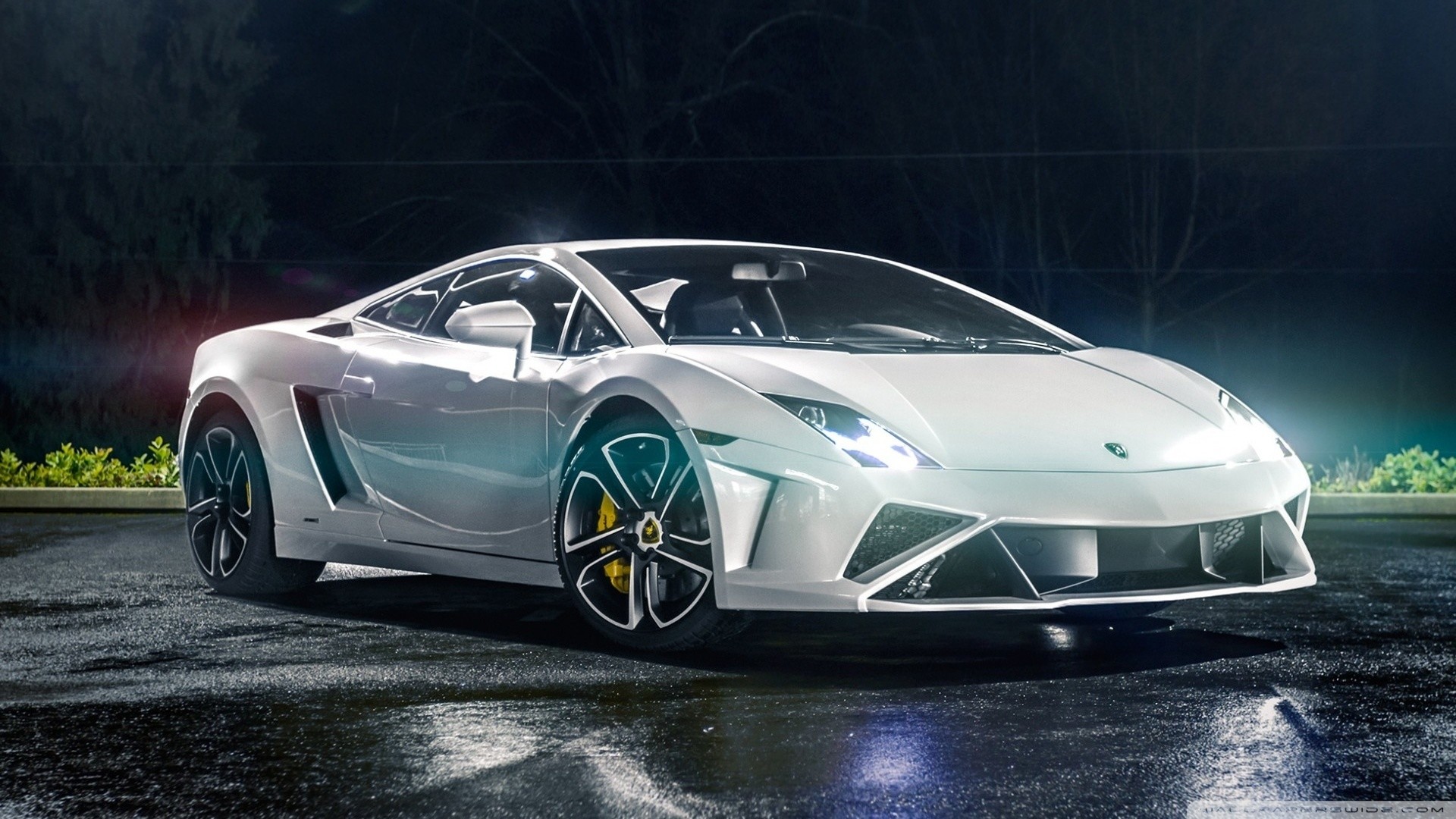 White Lamborghini Gallardo parked on a wet street at night