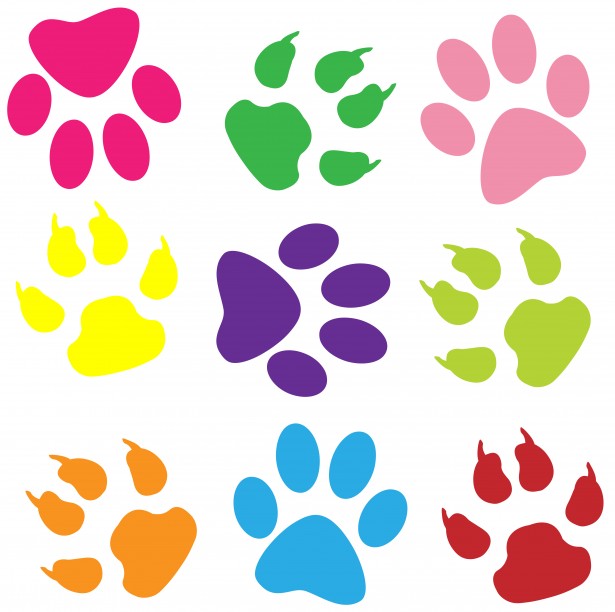 Paw Prints Colorful Background By Karen Arnold