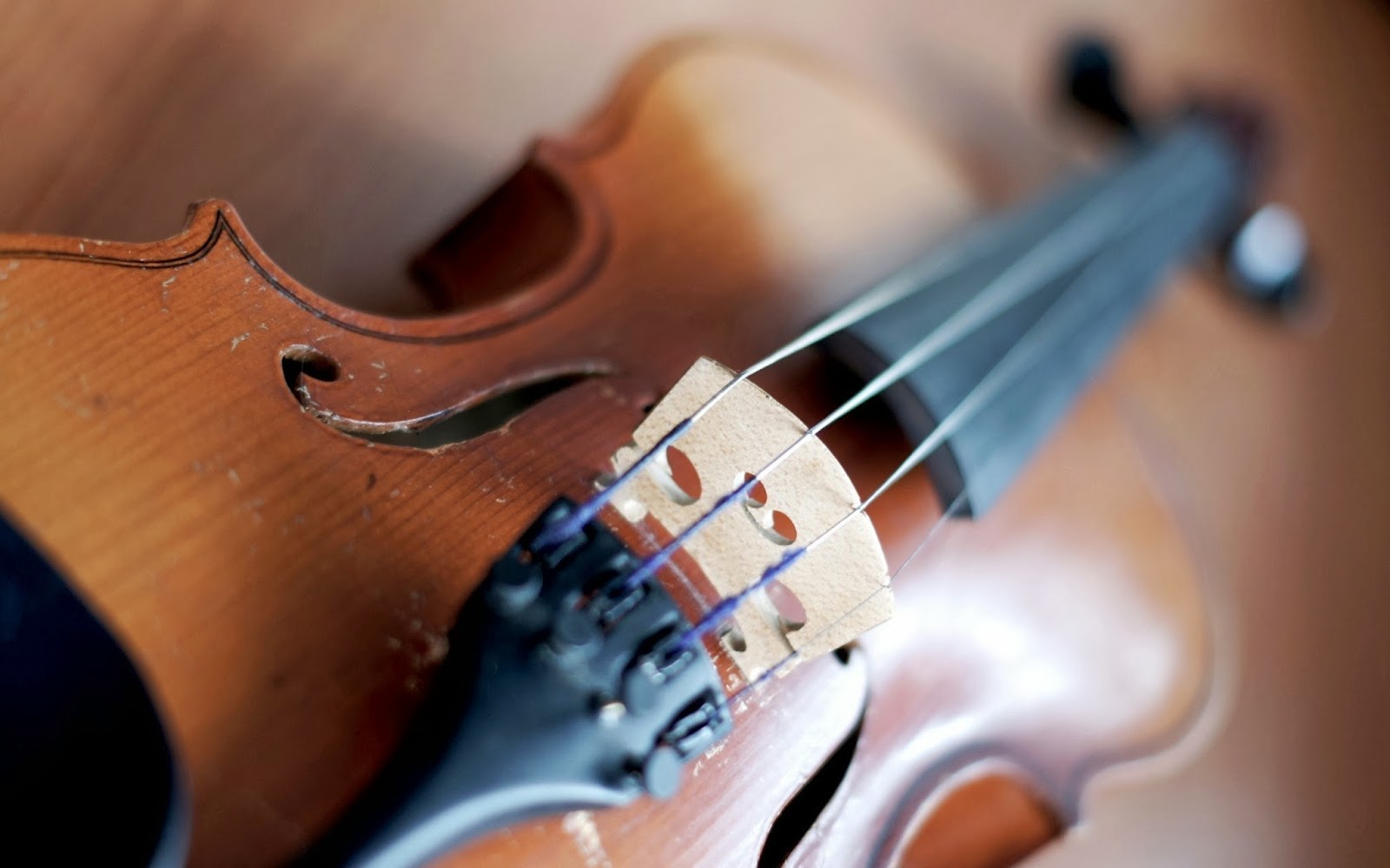 Violin Photography Cool Pictures Music Background