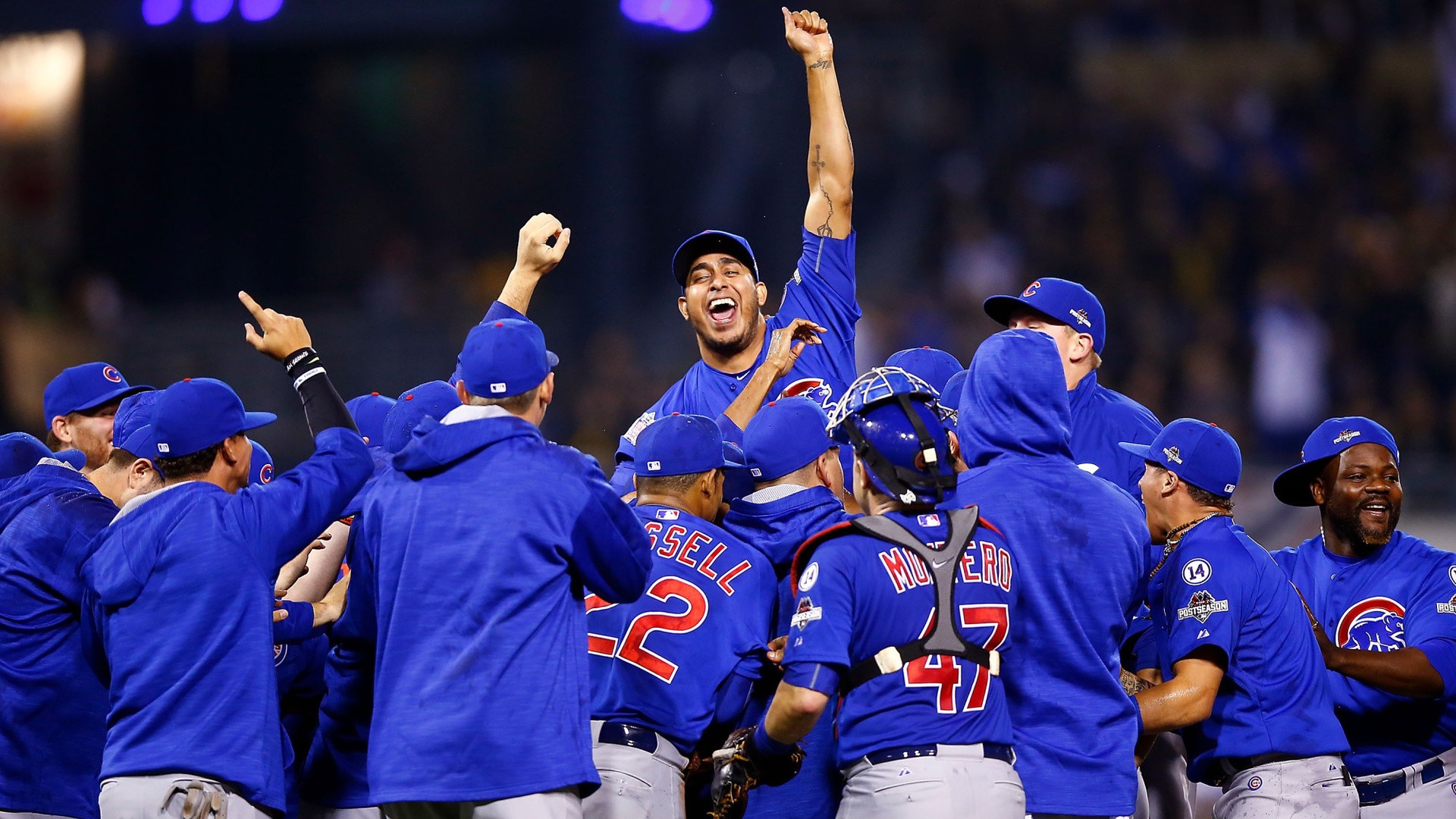 Cubs Wallpaper 4k