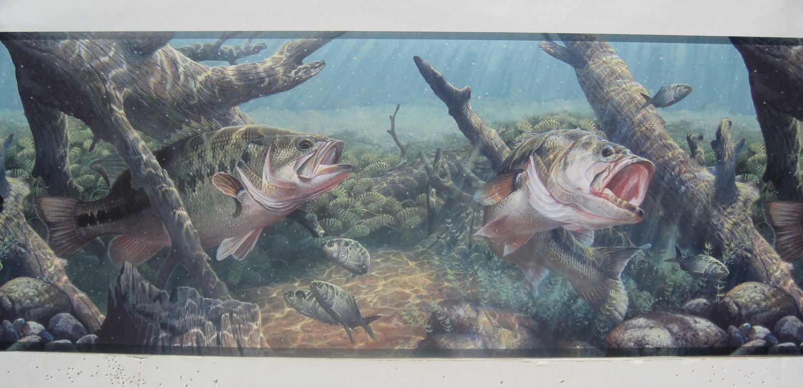 BASS FISHING FRESH WATER FISHING Wallpaper Border 9 1600x773