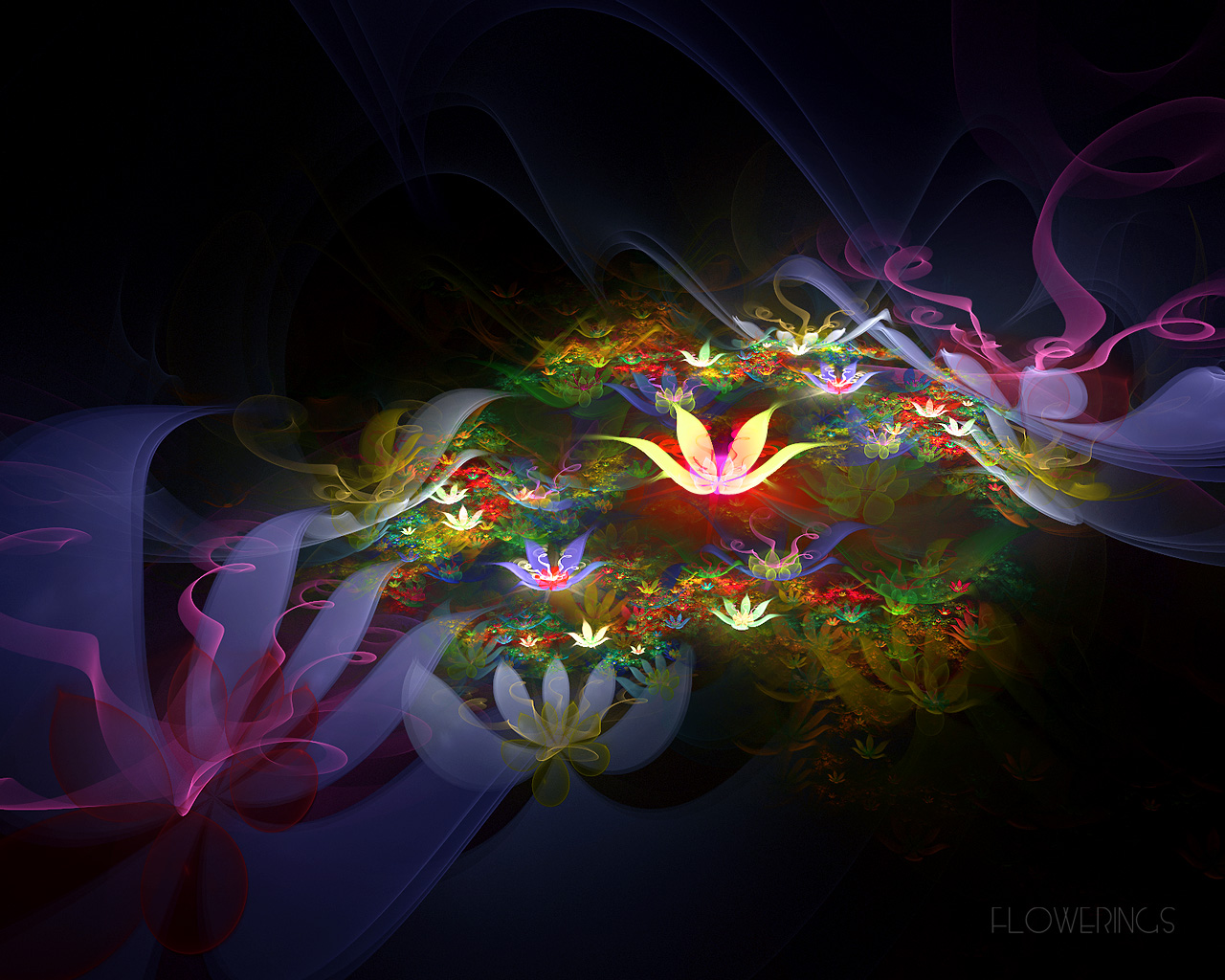 45 amazing 3d wallpapers insite flower 3d free computer wallpapers