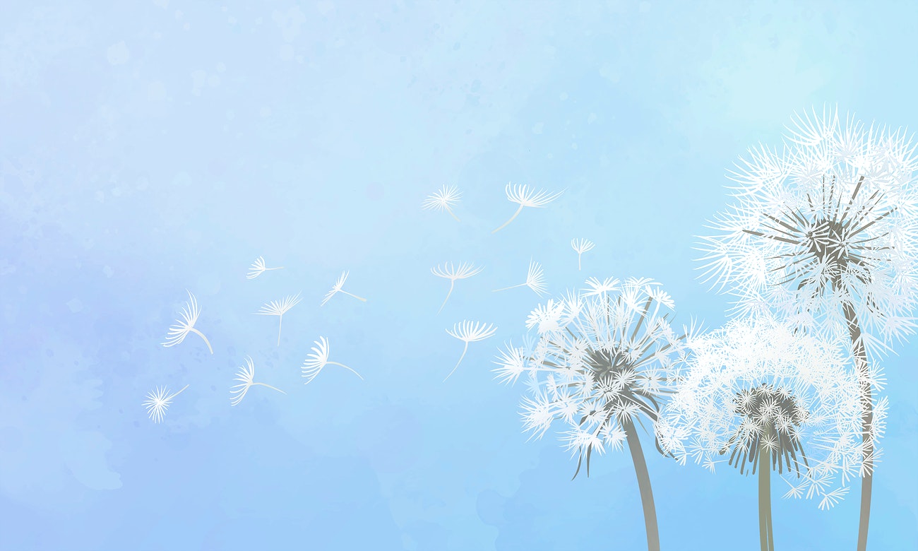 Dandelion On Blue Background Royalty Illustration